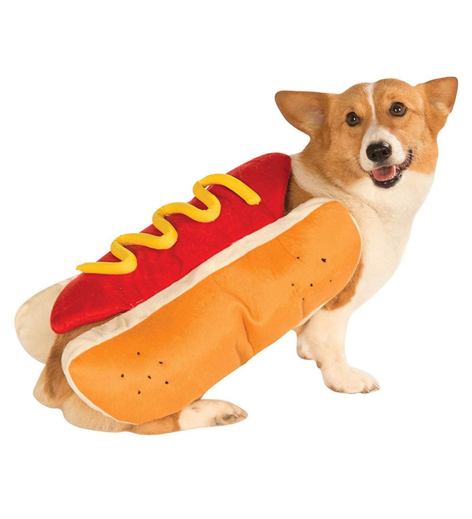Fogun Funny Hot Dog Coat for Dogs & Cats | Plush Winter Costume for Pets | Stylish Puppy Clothing (S) - Buy Online on GoSupps.com