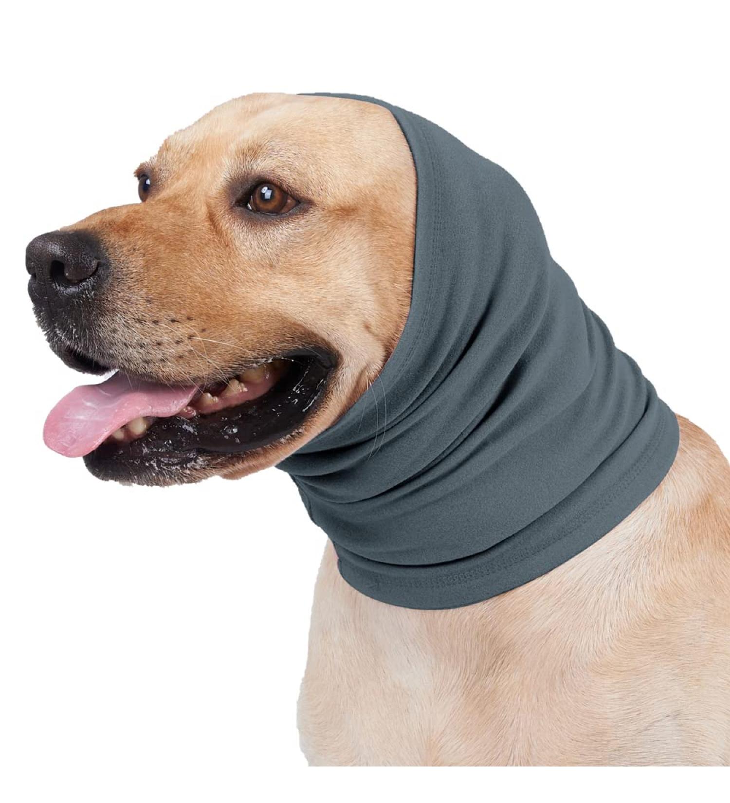 Anlitent Calming Dog Hoodie with Ear Cover for Anxiety Relief and Grooming - Small Blue - Buy Online on GoSupps.com