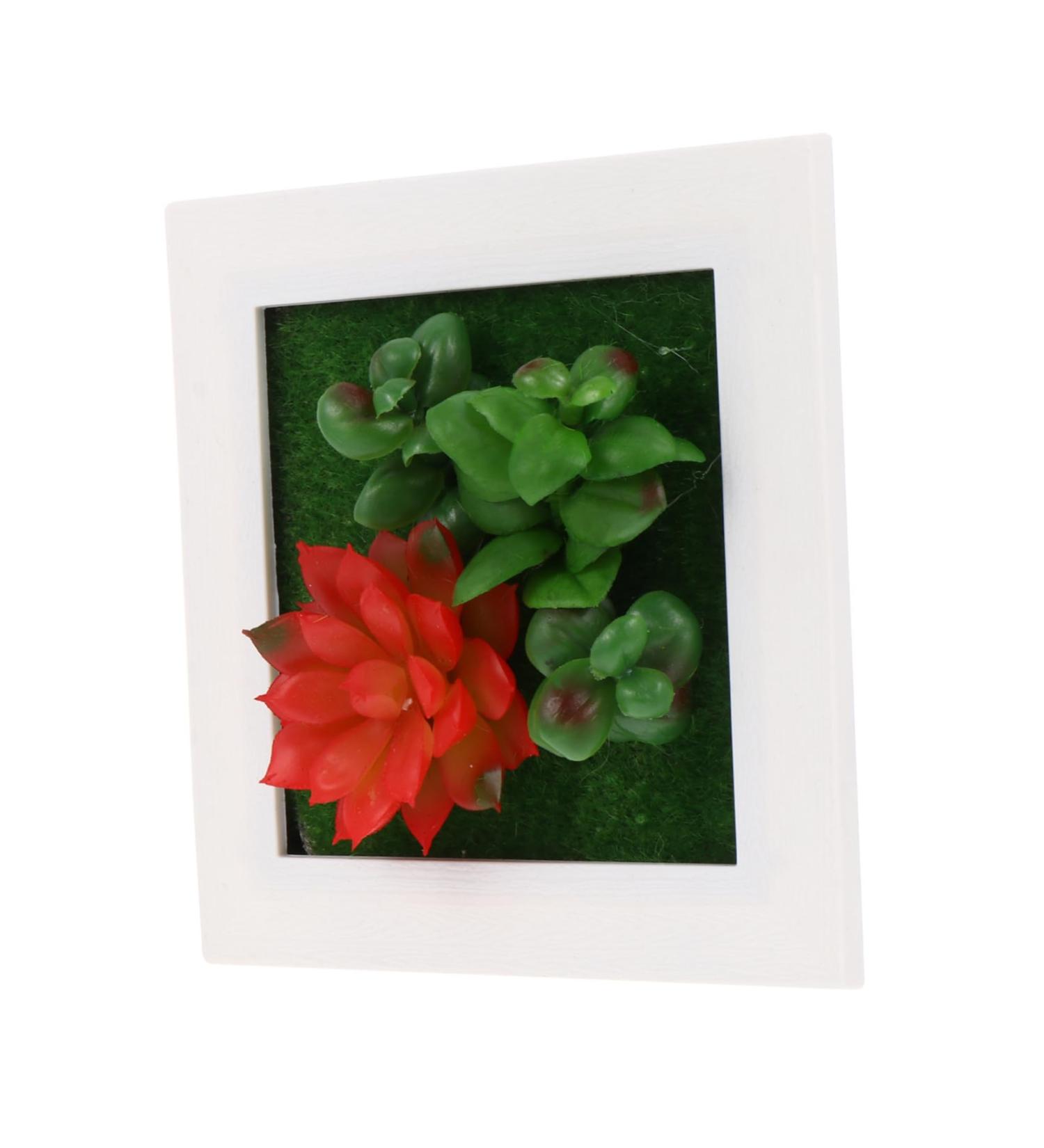 HOMSFOU 1pc Plant Photo Frame Plants Picture Frames Home Decor Succulent Plant Housewarming Gift Artificial Succulent Wall Art Plant Photo Frame Wall Household Plastic Red 15.5X15.5CM - Buy Online on GoSupps.com
