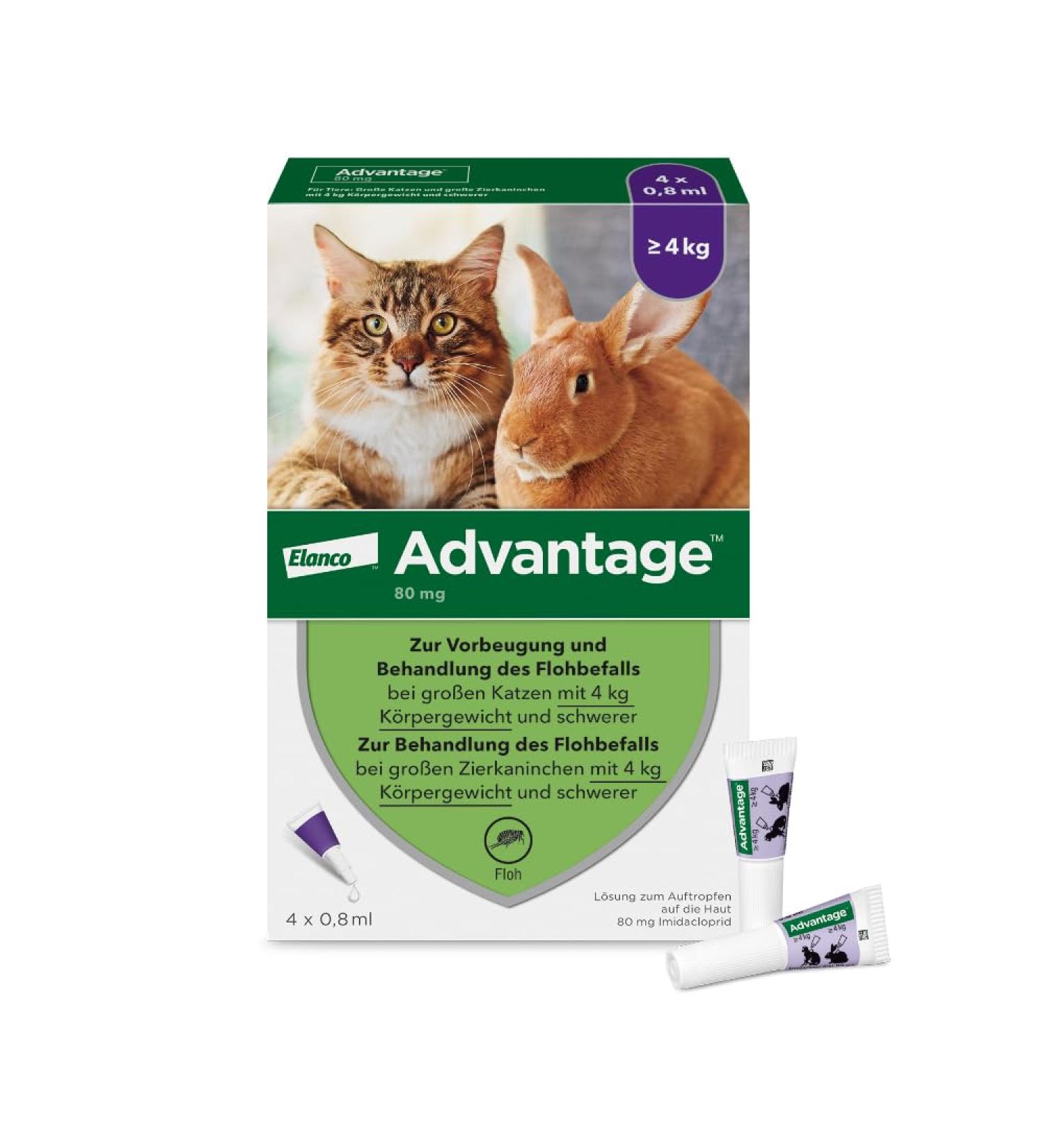 Elanco Advantage Spot-On 80 for Large Cats & Rabbits | Flea Protection for 4-8 kg | 4 Pipettes - Effective & Easy Application - Buy Online on GoSupps.com