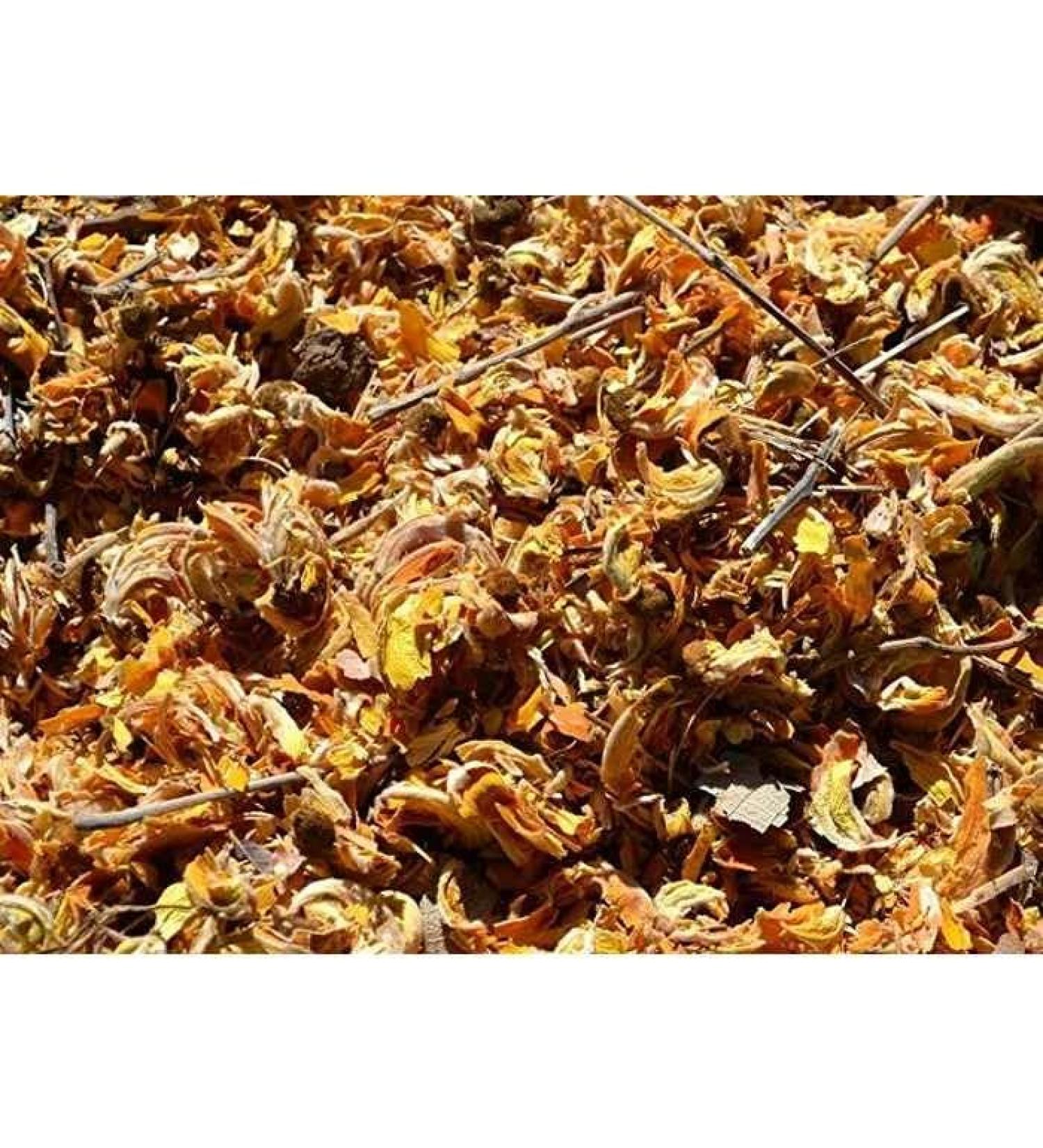 Neel Ayurvedics Kesuda Phool Droge Tesu Ke Phool Tesubloem 250 Gm