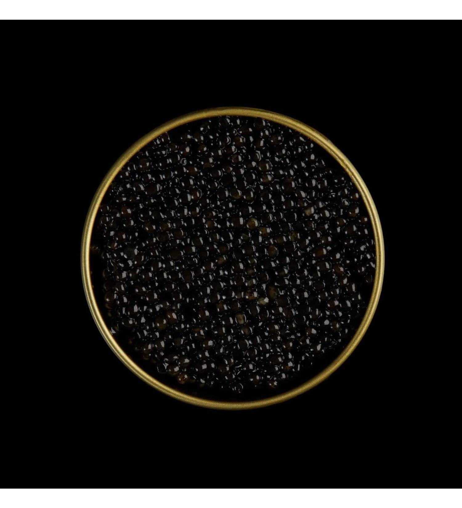 500g Black Sturgeon Caviar | Siberian Sturgeon | Acipenser baerii | Fish Caviar | Malossol Caviar | Black Caviar | Brand - TS - Buy Online on GoSupps.com