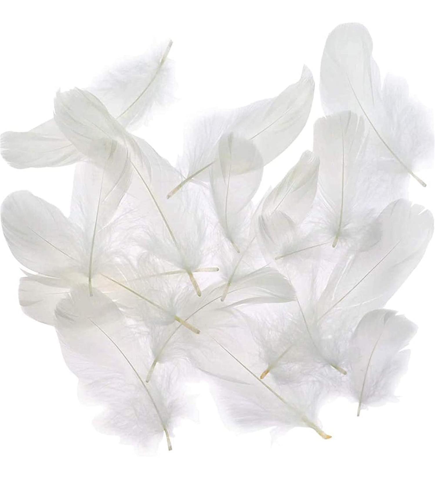Coceca 500pcs White Feathers - Ideal for DIY Craft, Wedding & Party Decor - Buy Online on GoSupps.com