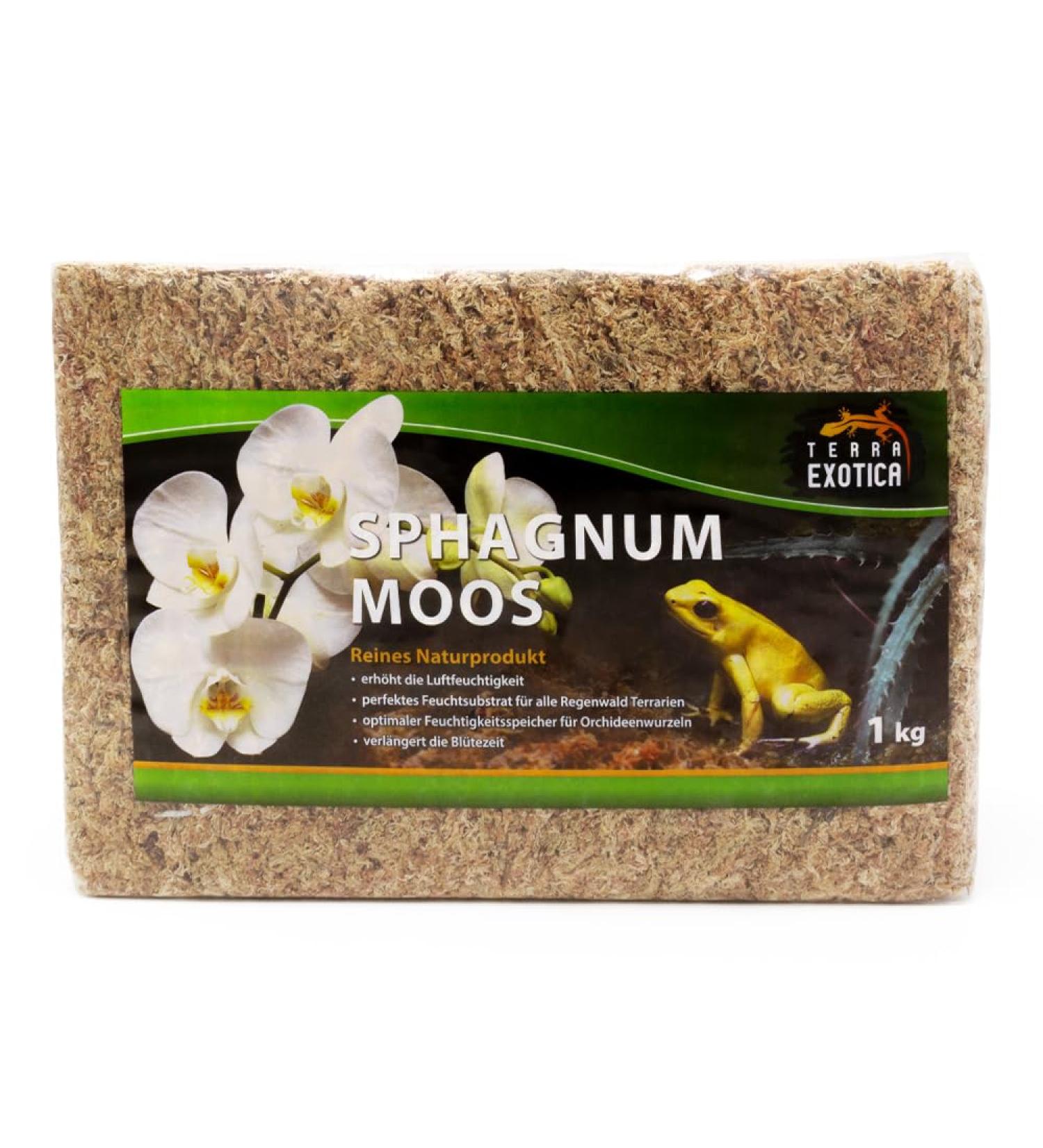 Terra Exotica Sphagnum Moss 1 Kg - Premium Peat Moss for Gardening Houseplants & Terrariums | International Shipping Available - Buy Online on GoSupps.com