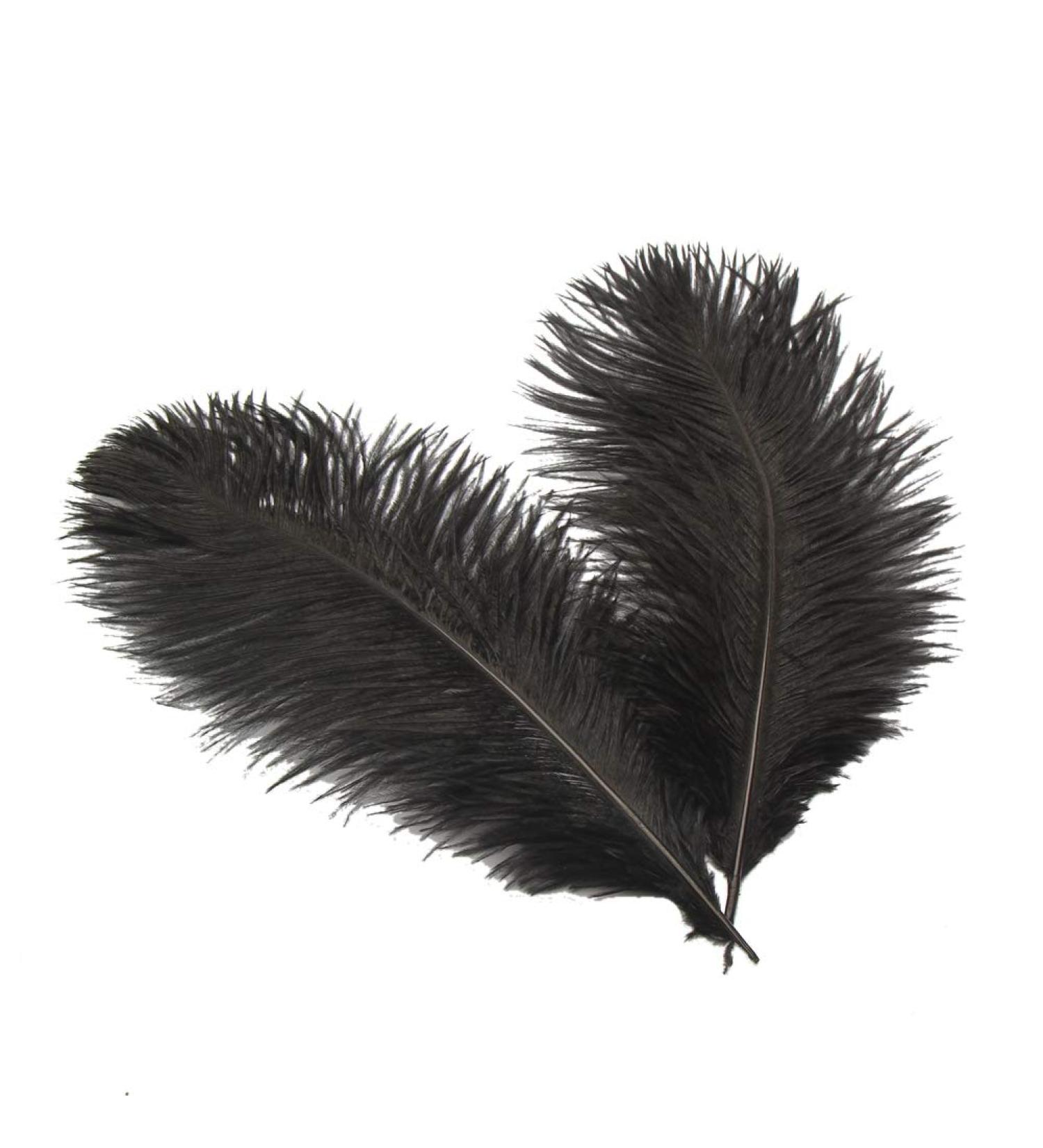 Sowder 6-8inch(15-20cm) Ostrich Feathers Plume for Wedding Centerpieces Home Decoration Pack of 10pcs (Black) 6-8 inch Black