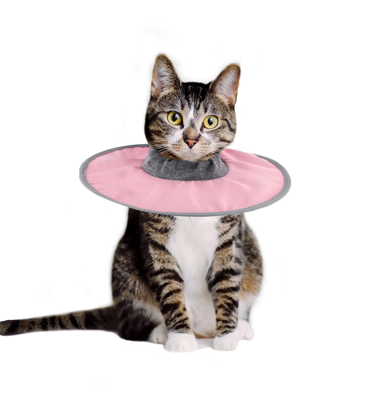 Cat Recovery Collar Adjustable Cat Neck Protective Cat Collar Waterproof Elizabethan E Collar for Cats Kittens Puppies after Surgery to Stop Licking Wounds (Pink) - Buy Online on GoSupps.com