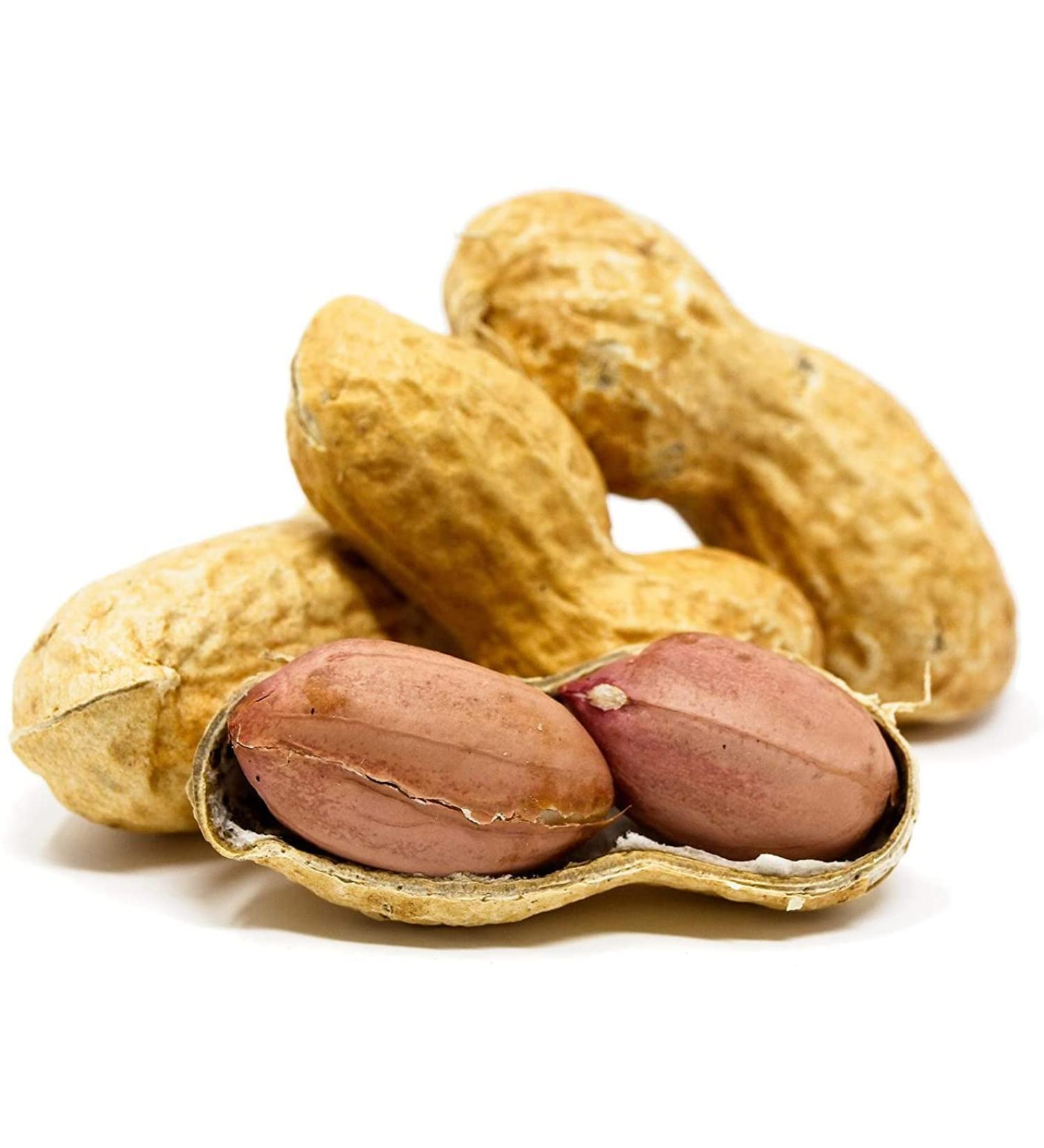 Premium USA Grown Raw Peanuts in Shell for Squirrels - Unsalted & Boiled Jumbo Peanuts for Birds - Green - Buy Online on GoSupps.com