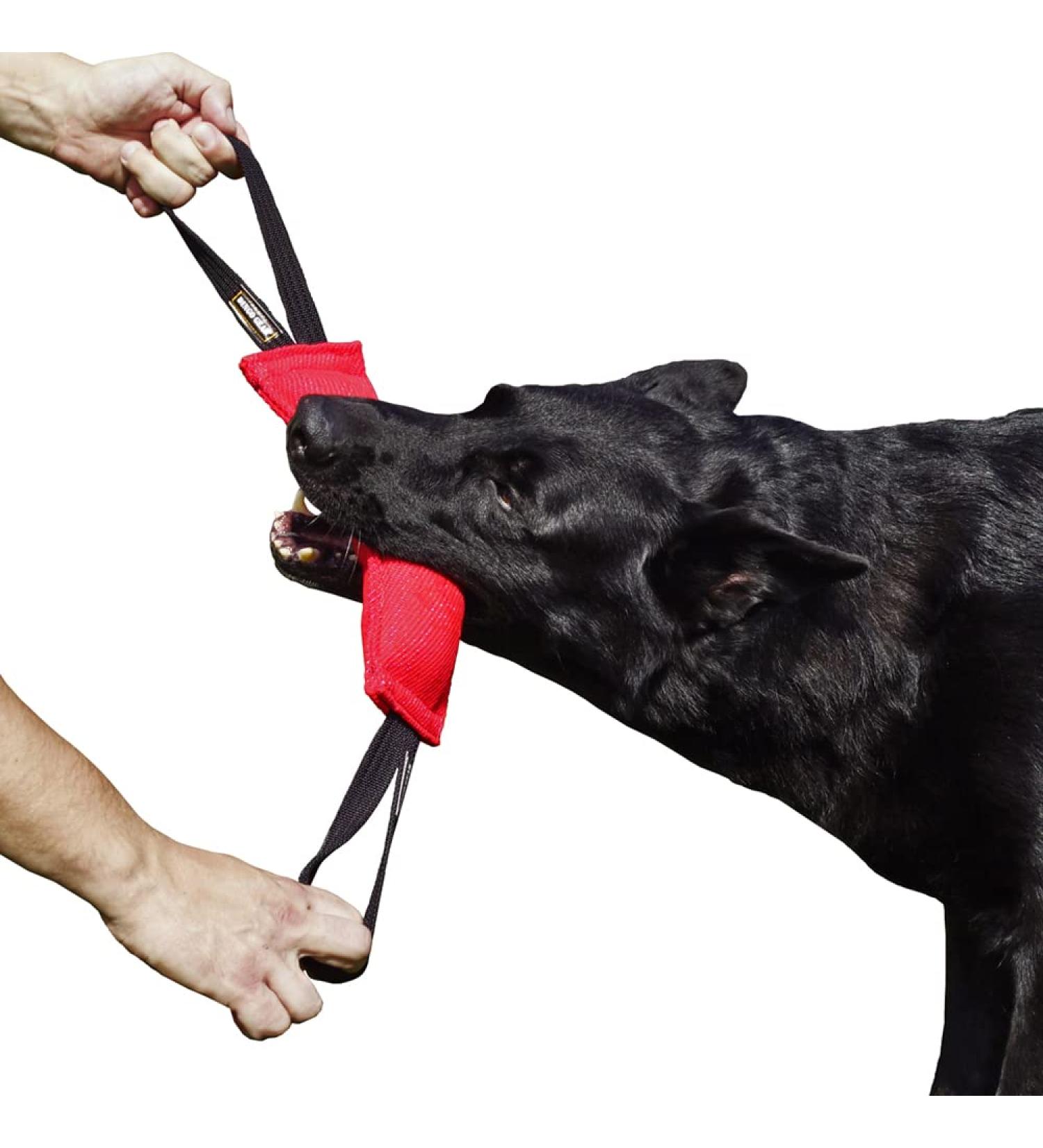 Dingo Gear Cotton Nylon Bite Sausage for Dog Training | IGP IPO Obedience & Protection Sport | 28x7 cm Red with 2 Handles - Buy Online on GoSupps.com