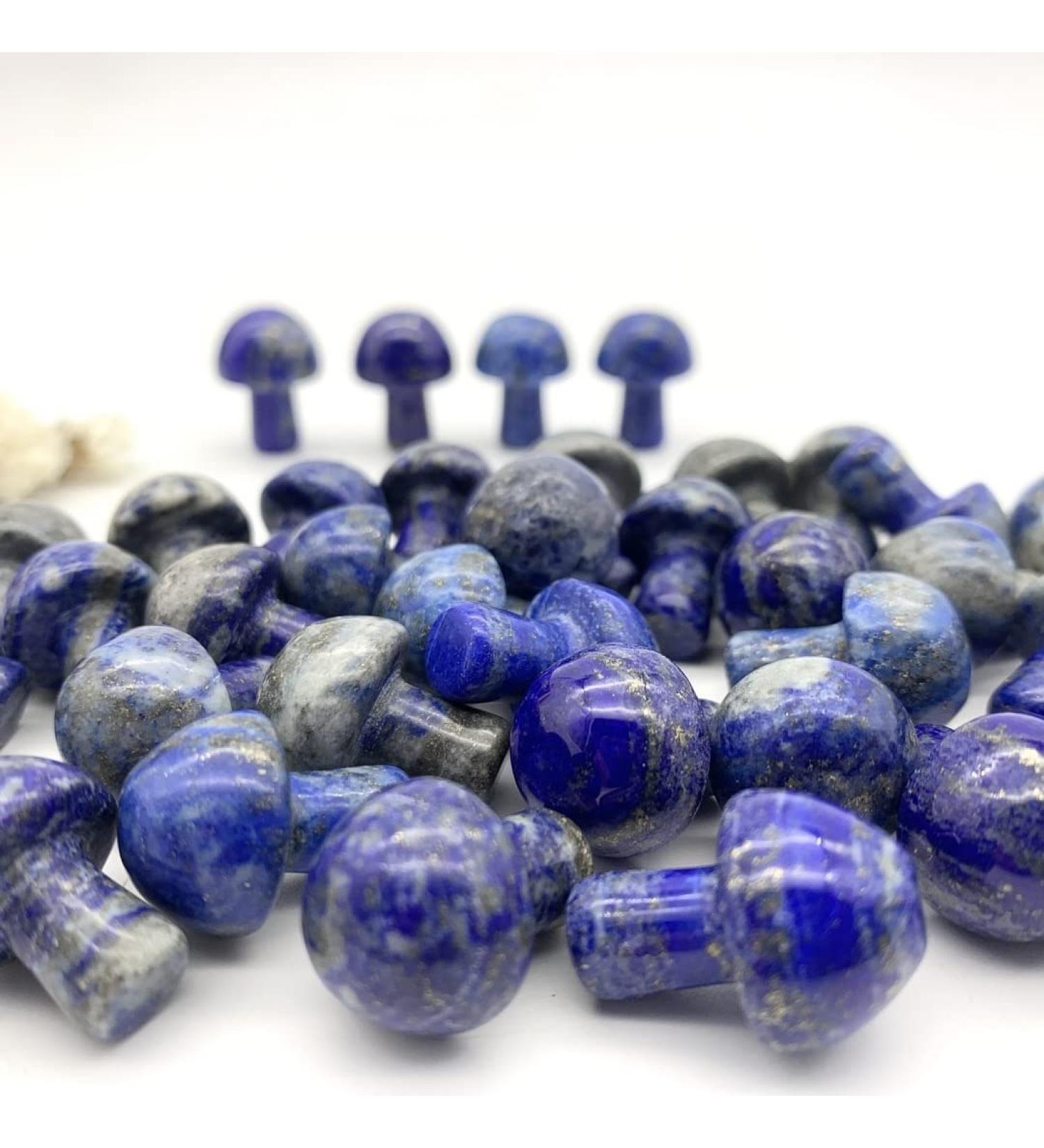 Natural Crystal Rough Home Decoration Natural Blue Lapis Lazuli Crystal Mushroom Shaped Polished QuartzStones Specimen Home Decoration Crystals Stones PEIQIYIN (Size : 1pc) - Buy Online on GoSupps.com