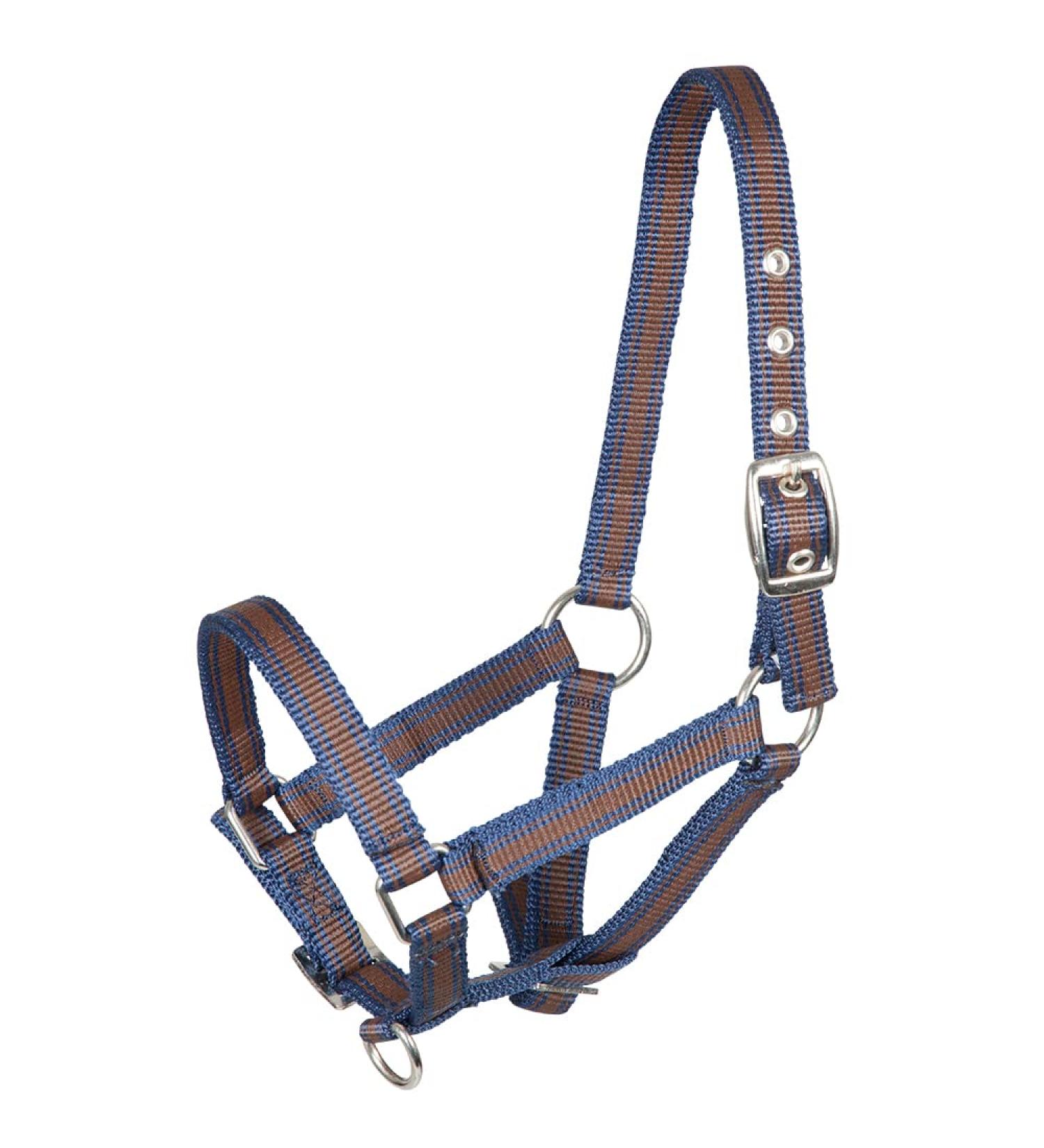 PFIFF 100996 Foal Halter Halter for Foals Striped Blue-Brown One Size
