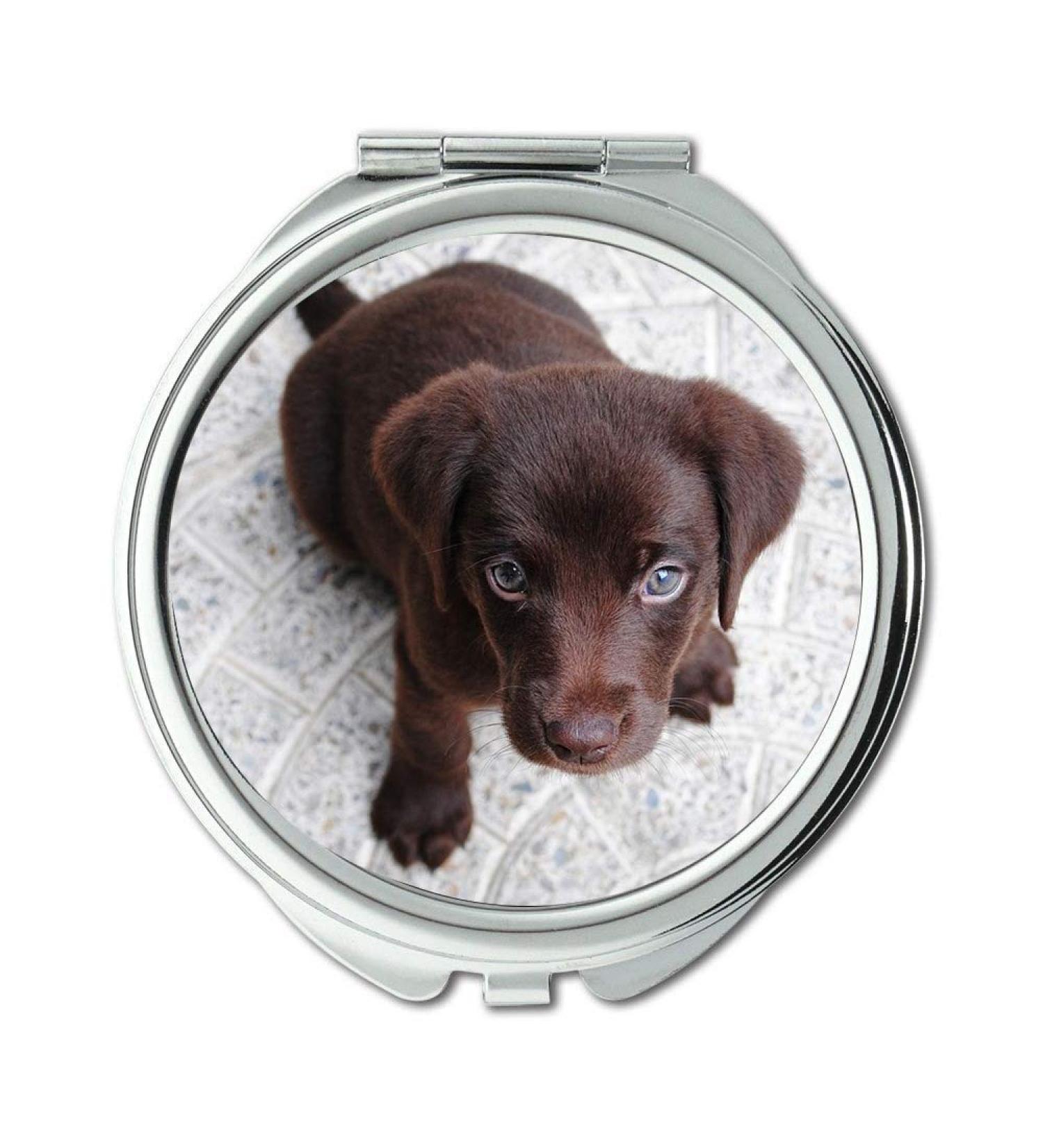 Mirror makeup mirror Puppy Labrador Purebred Retriever Dog Pet Brown pocket mirror portable mirror - Buy Online on GoSupps.com
