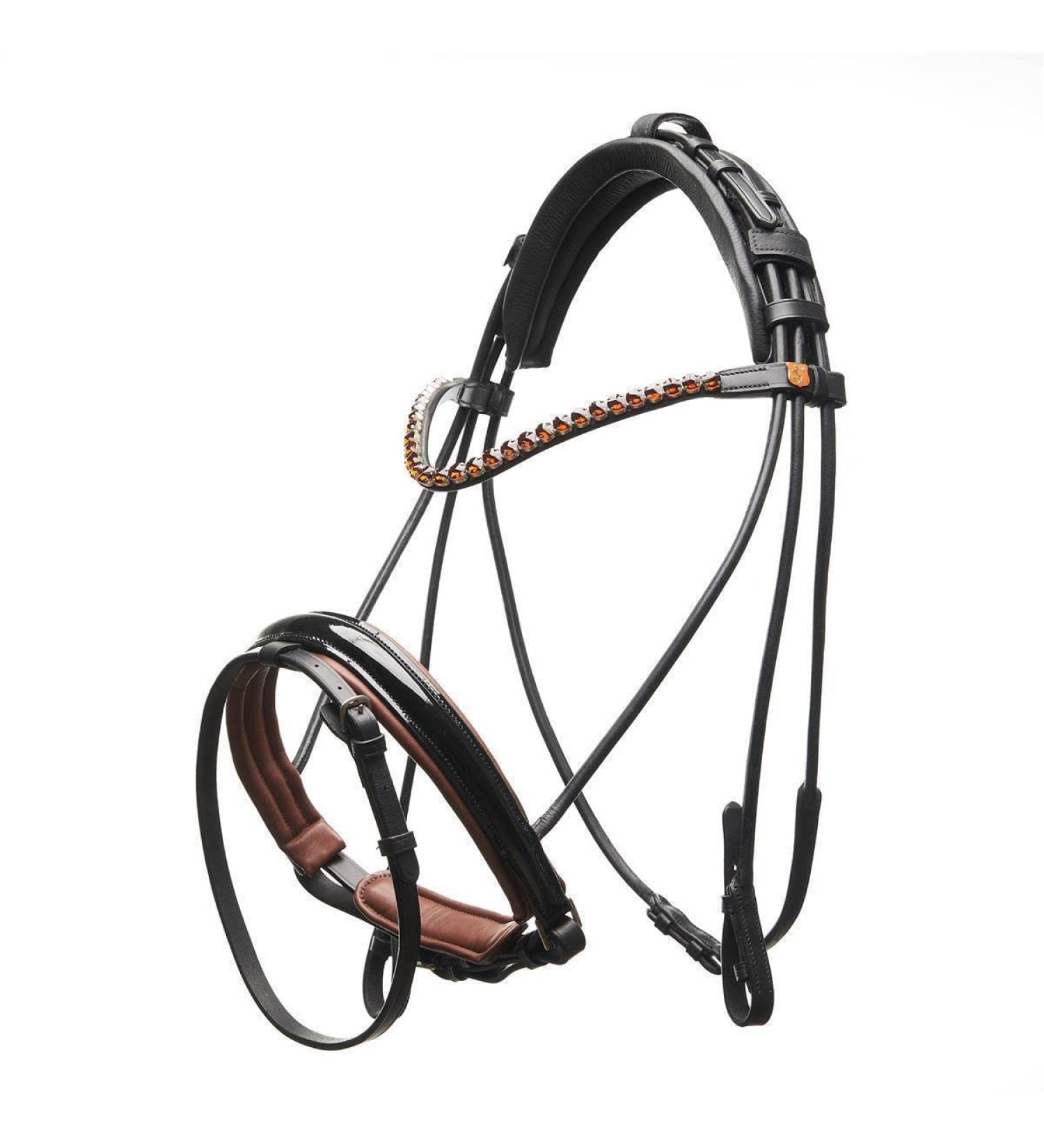 Buy Dream Forest Horse Code Bridle for Warmbloods - Quality Equestrian Gear | Worldwide Shipping - Buy Online on GoSupps.com