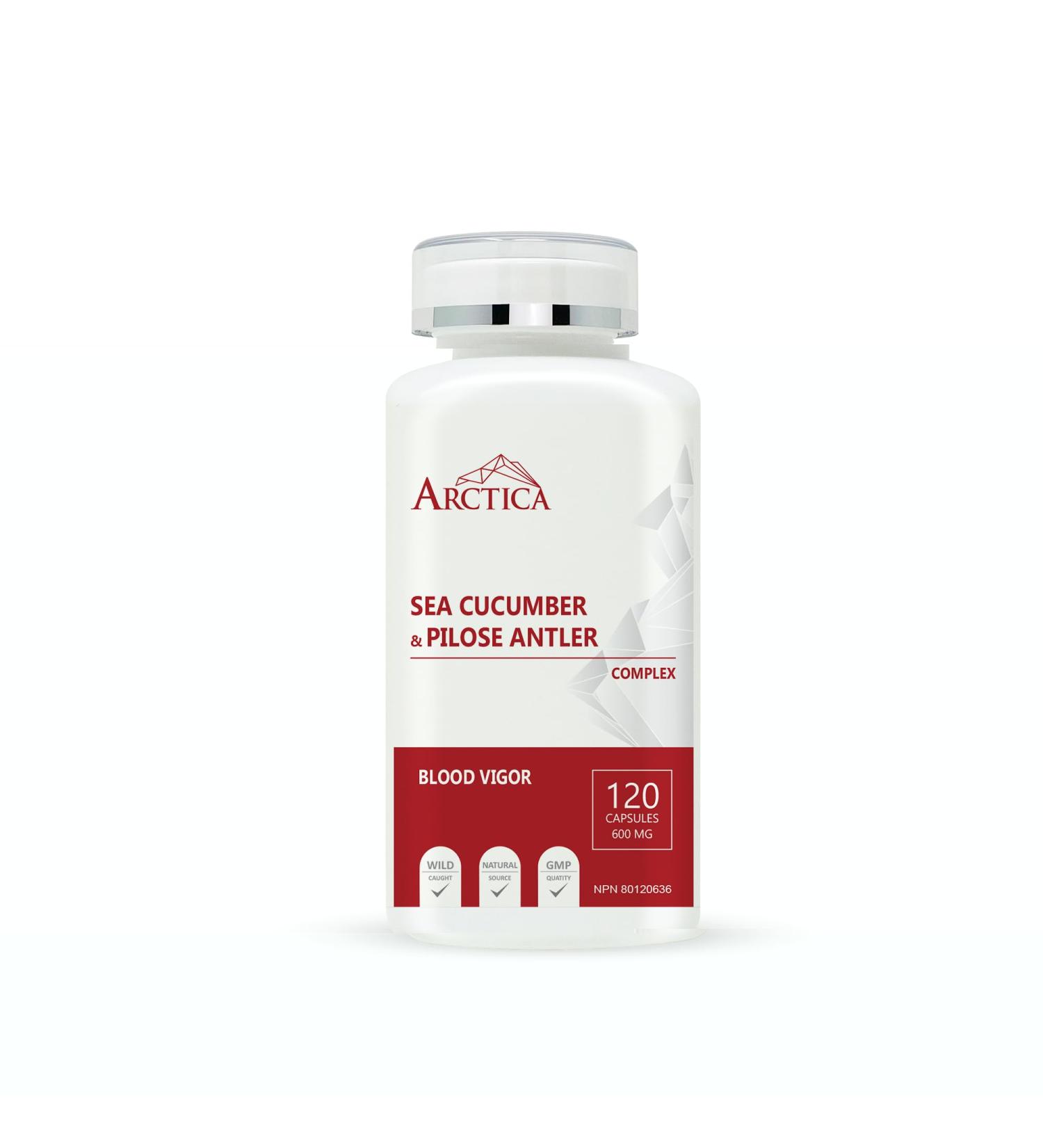 Arctica Sea Cucumber & Pilose Antler Complex Capsule Blood Vigor 600 mg 120 caps - Buy Online on GoSupps.com