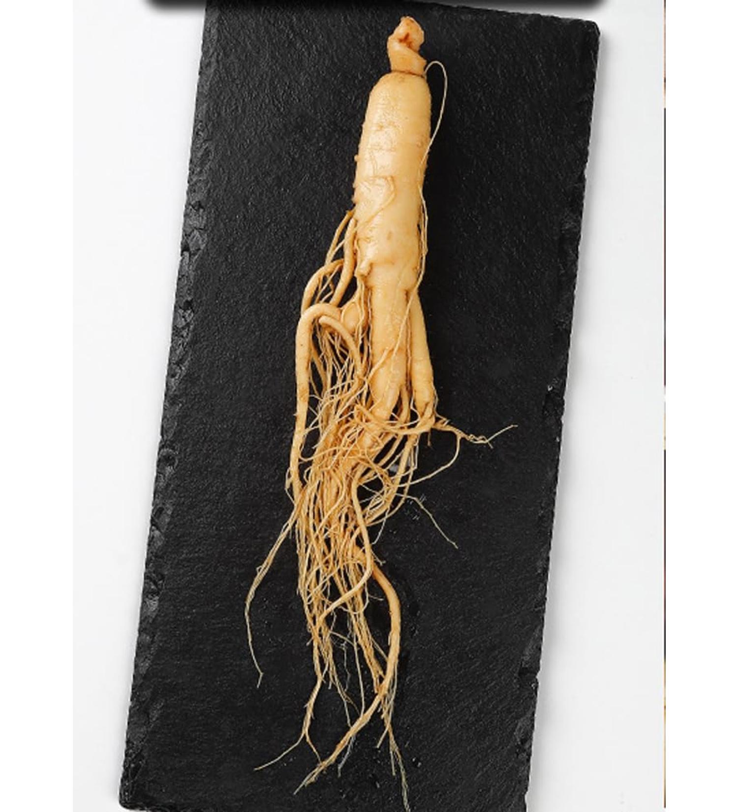 Fresh Ginseng Root Renshen (250g(0.55pounds)) - Buy Online on GoSupps.com