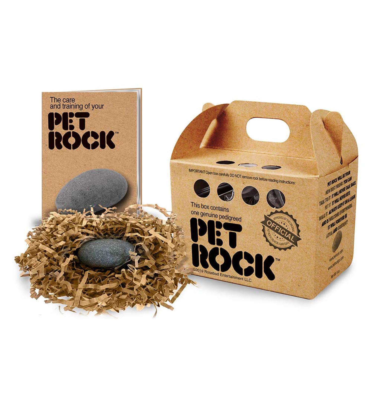 Pet Rock - The Original by Gary Dahl | Unique and Nostalgic Collectible - Buy Online on GoSupps.com