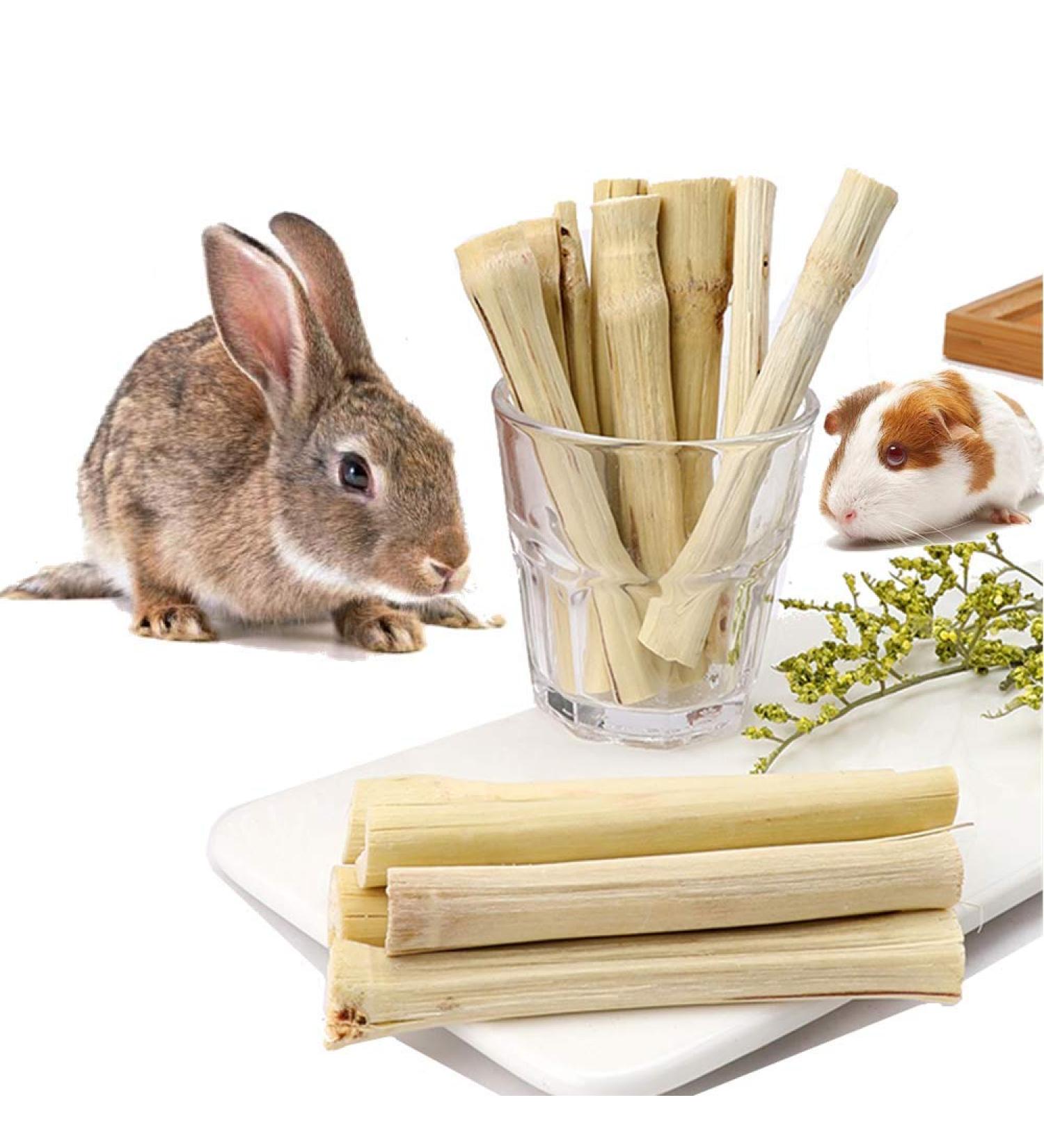 Natural Sweet Bamboo Rabbit Chew Toys & Treats for Healthy Teeth & Gums Ideal for Rabbits, Hamsters, Chinchillas, Guinea Pigs, Squirrels 5.29 oz (1 Pack) - Buy Online on GoSupps.com