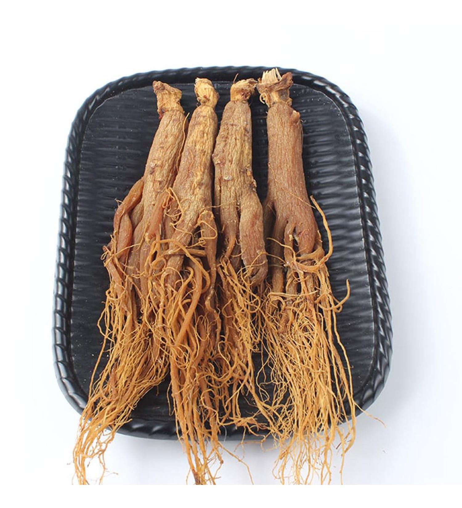 500 Grams Korean Red Ginseng Root Korean Red Panax Ginseng Red Korean Ginseng Natural Organic Changbai Mountain Wild Ginseng Whole Ginseng. - Buy Online on GoSupps.com