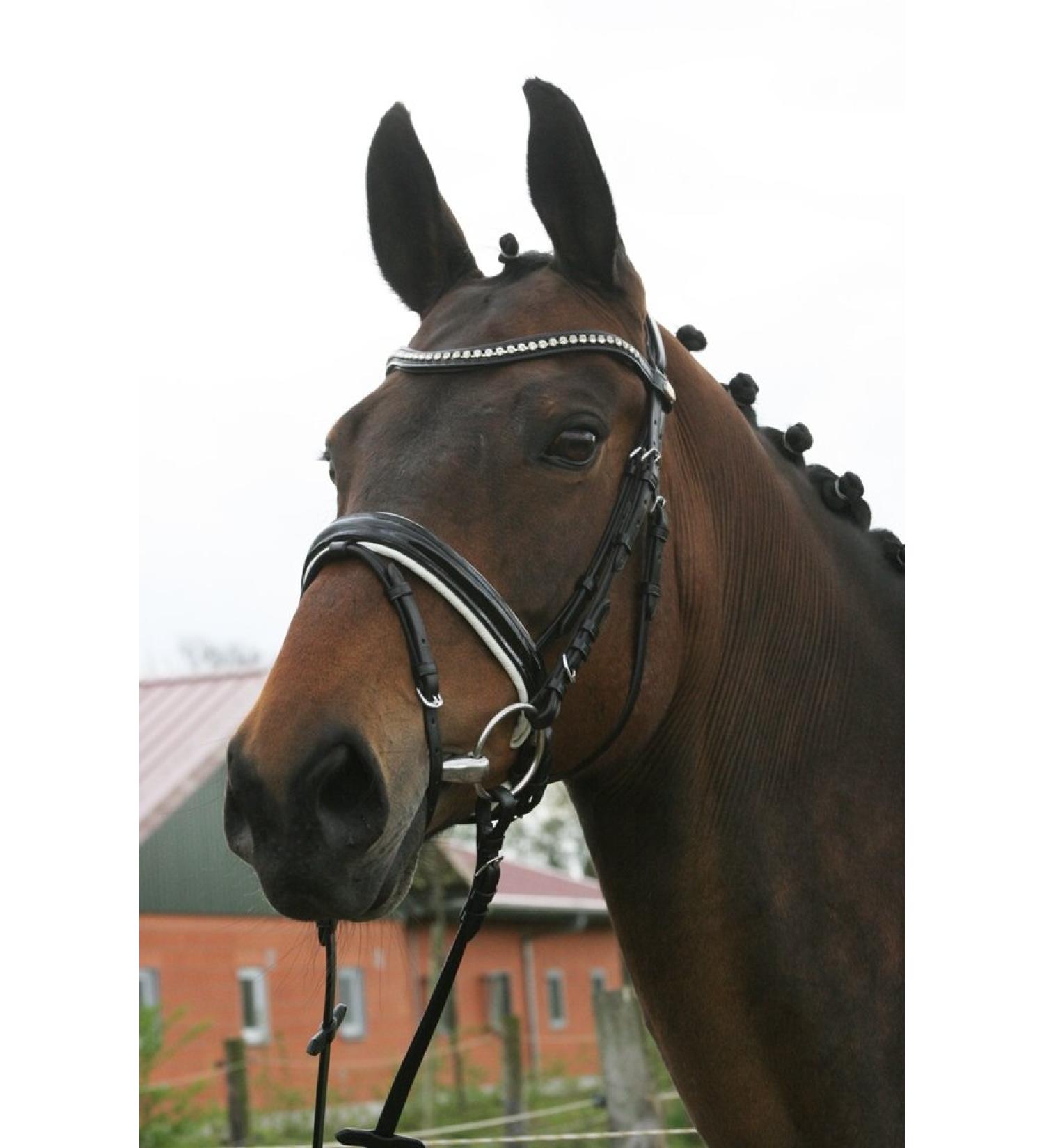 Hans Melzer Horse Equipment Trense Hagen - Black/White Lining for Warmbloods | Shop Now! - Buy Online on GoSupps.com