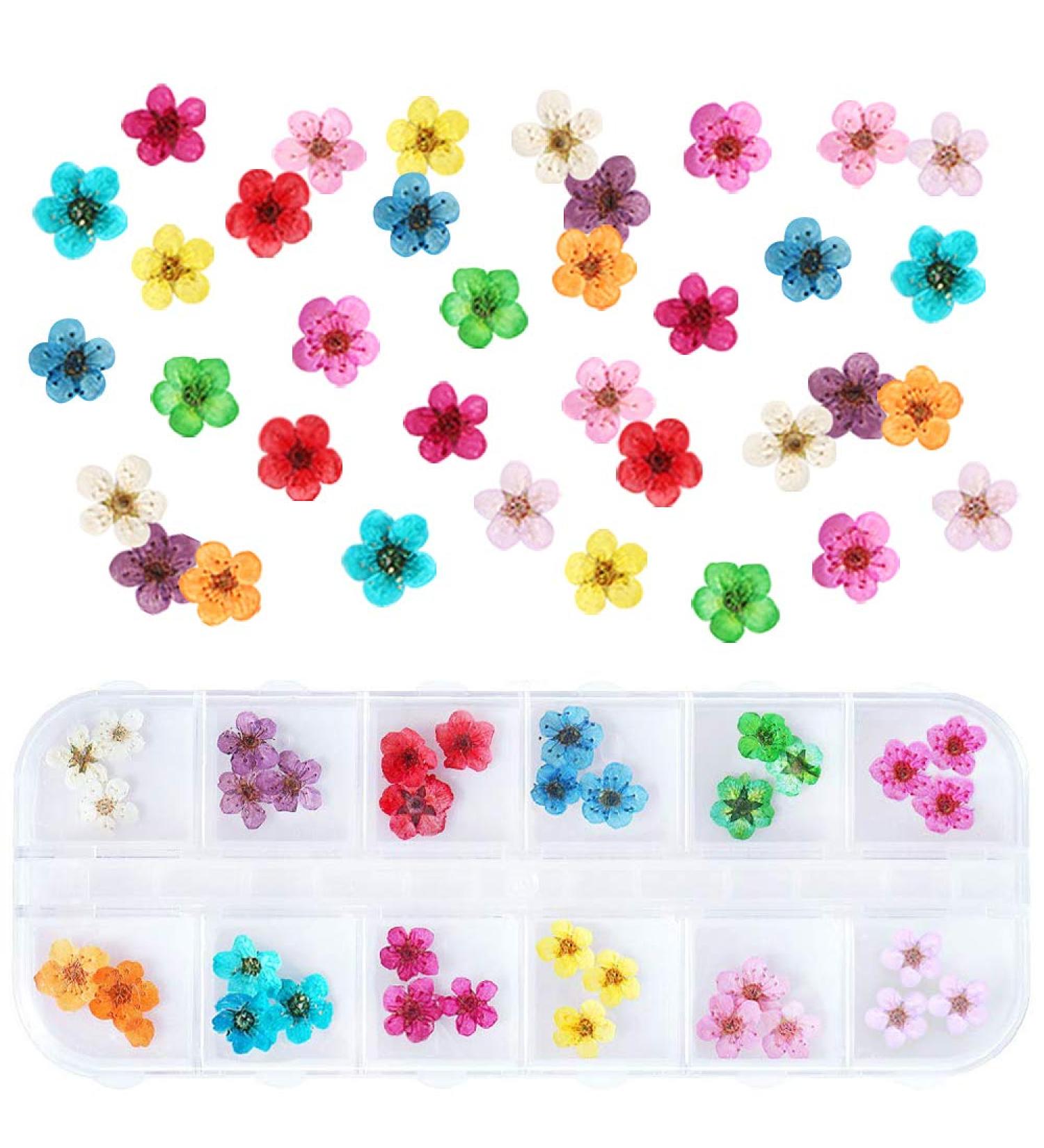 UNIME 12 Colors Mini Real Dried Flowers Nail Art Supplies - 3D Applique Decoration Sticker for Manicure Tips - Buy Online on GoSupps.com
