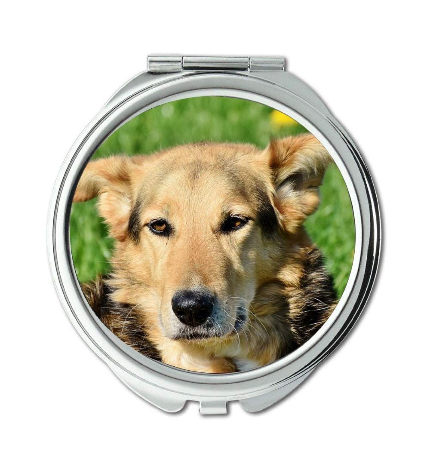 Mirror makeup mirror Dog Mixed Breed Dog Hybrid Snout Animal Pet Pocket Mirror portable mirror - Buy Online on GoSupps.com