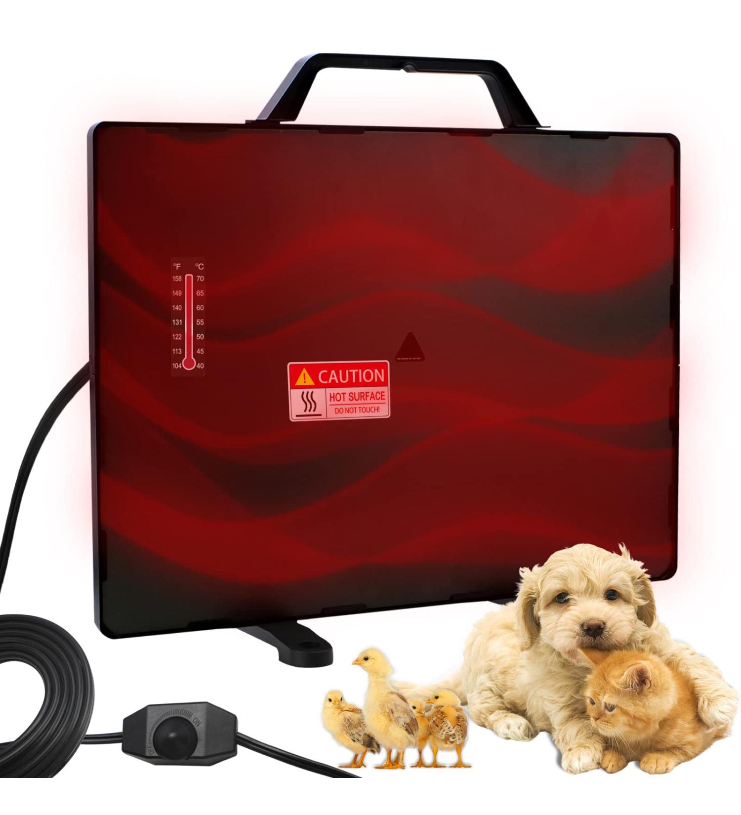 MQ 140W Chicken Coop Heater - Compact Heat Plate for Pets - Includes Thermometer Sticker - Ideal for Chicks, Cats, Dogs, Rabbits, and Under Desk Heating - Buy Online on GoSupps.com
