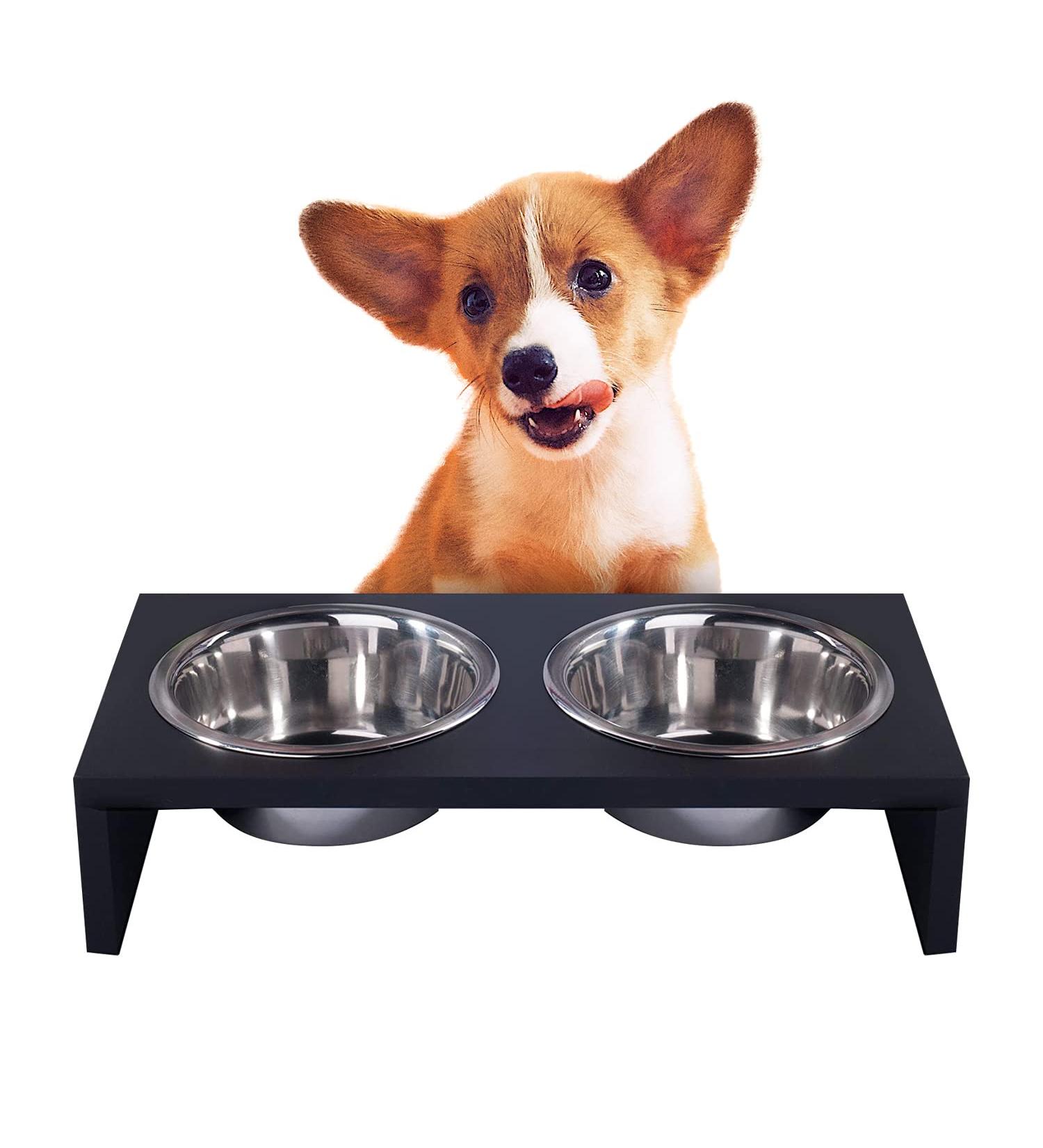 Pawise Elevated Dog Bowls & Raised Cat Feeder with Stainless Steel Bowls | Wooden Frame Stand for Food and Water - 750ml - Buy Online on GoSupps.com