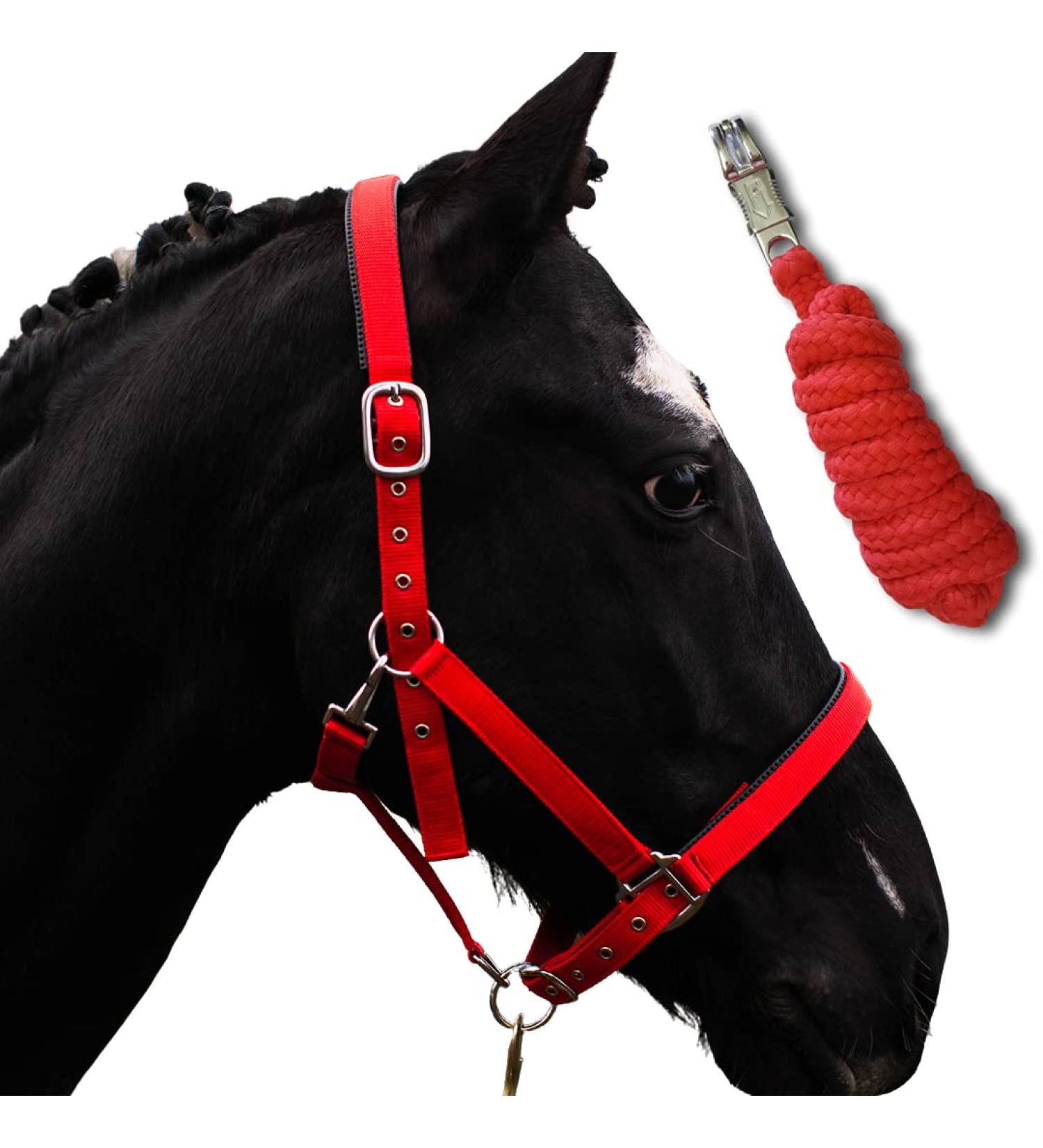 Premium Red Horse Halter with Rope | Adjustable Pony & Thoroughbred Sizes | Halters for All Breeds - Buy Online on GoSupps.com