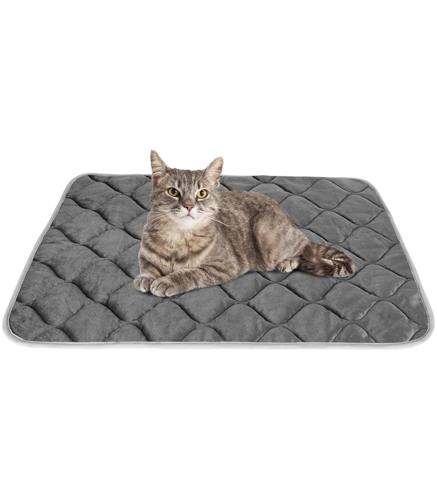 Self-Heating Cat Mat - Thermal Pet Bed Mat - 16 x 20 - Grey - Buy Online on GoSupps.com