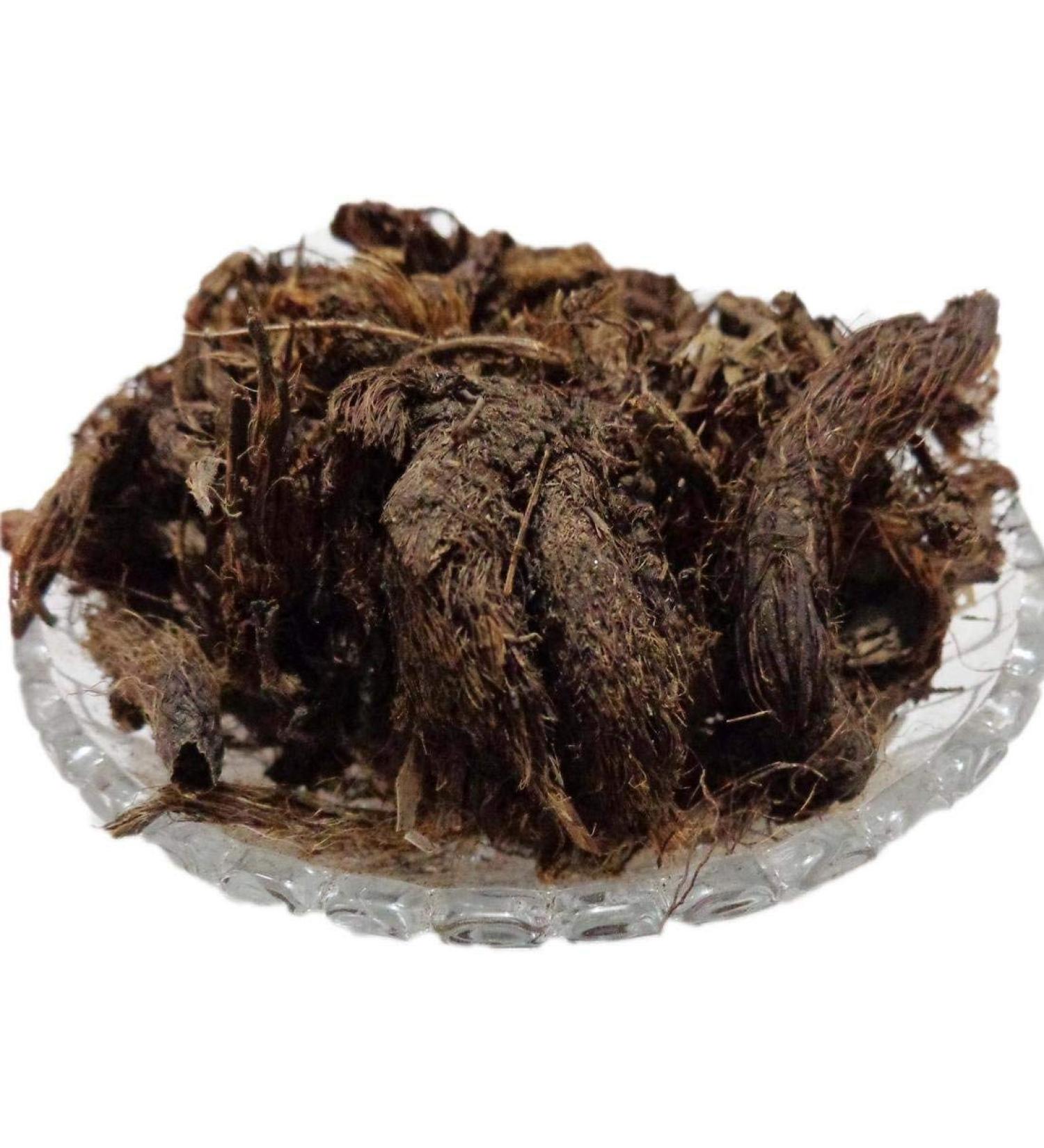 HINDU GURU GOYAL Jatamansi Nardostachys Nard Indian (100 GRAM)