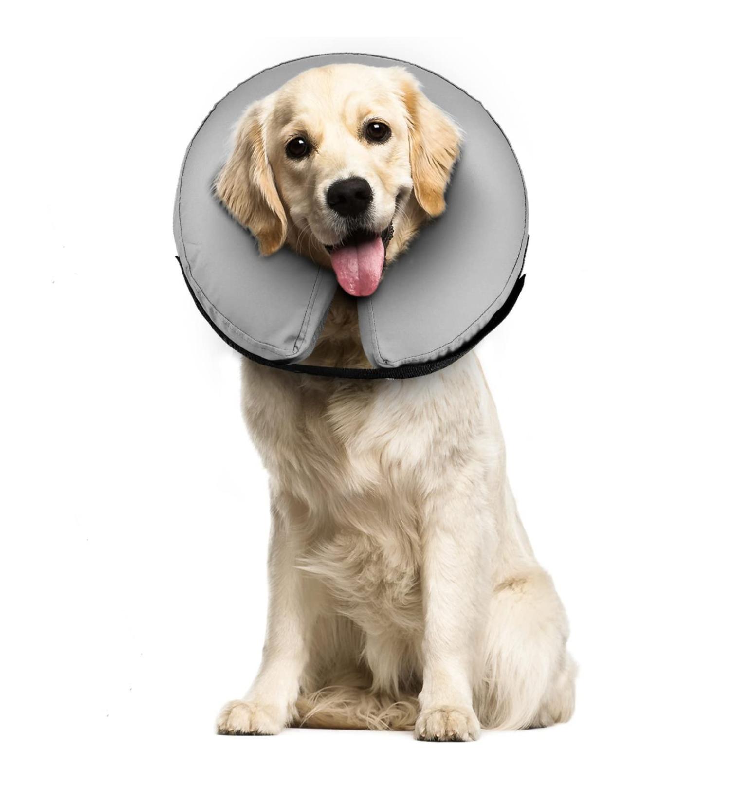 Buy Supet Rewrise Dog Inflatable Collar - Soft Leak Protection for Post-Op Dogs | Gray - Size S (17.8-25.4 cm) - International Shipping Available - Buy Online on GoSupps.com