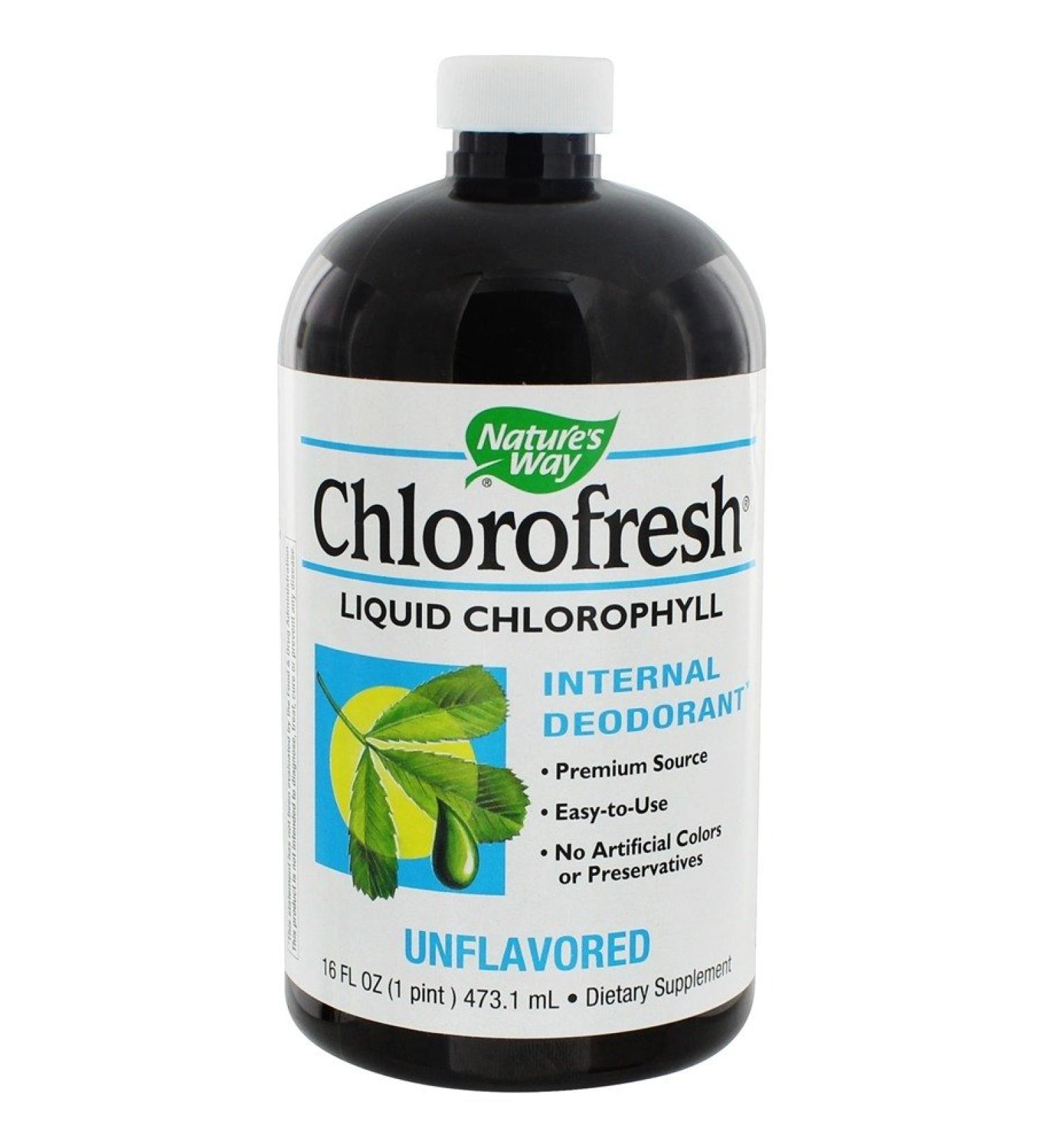 Natures Way Chlorofresh Liquid Natural Flavor - 16 oz | Natural Detox & Breath Freshener - Buy Online on GoSupps.com