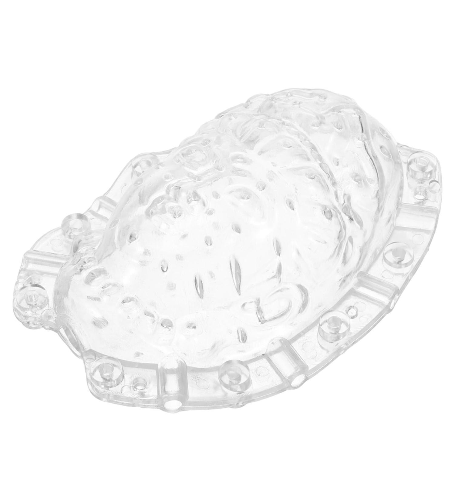 Parliky Fruits Forming Mould Vegetable Ginseng Buddha Shaped Fruit Multi-use Fruits to Play with Gourd - Buy Online on GoSupps.com