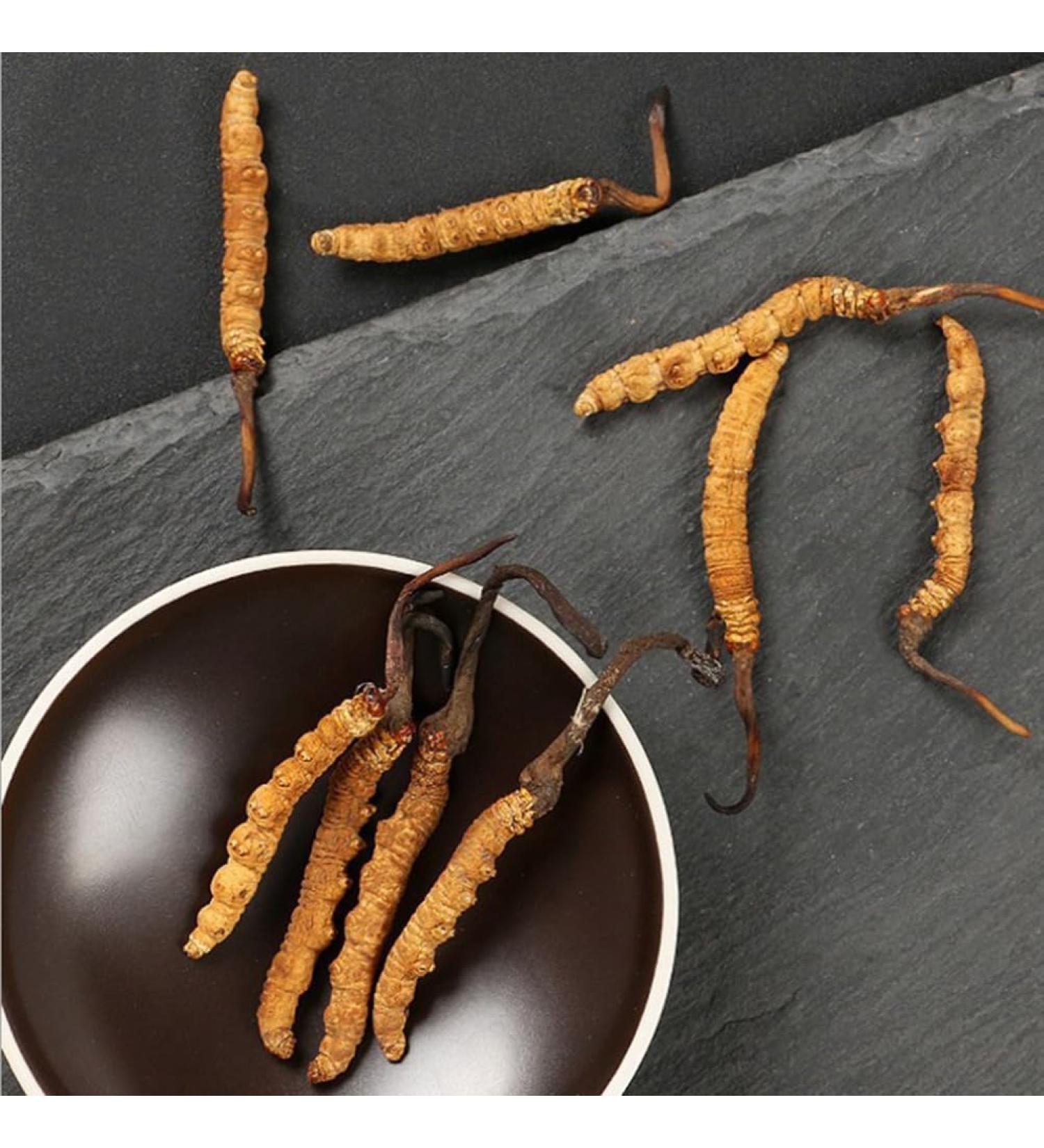 Cordyceps Sinensis Chongcao (3g) - Buy Online on GoSupps.com
