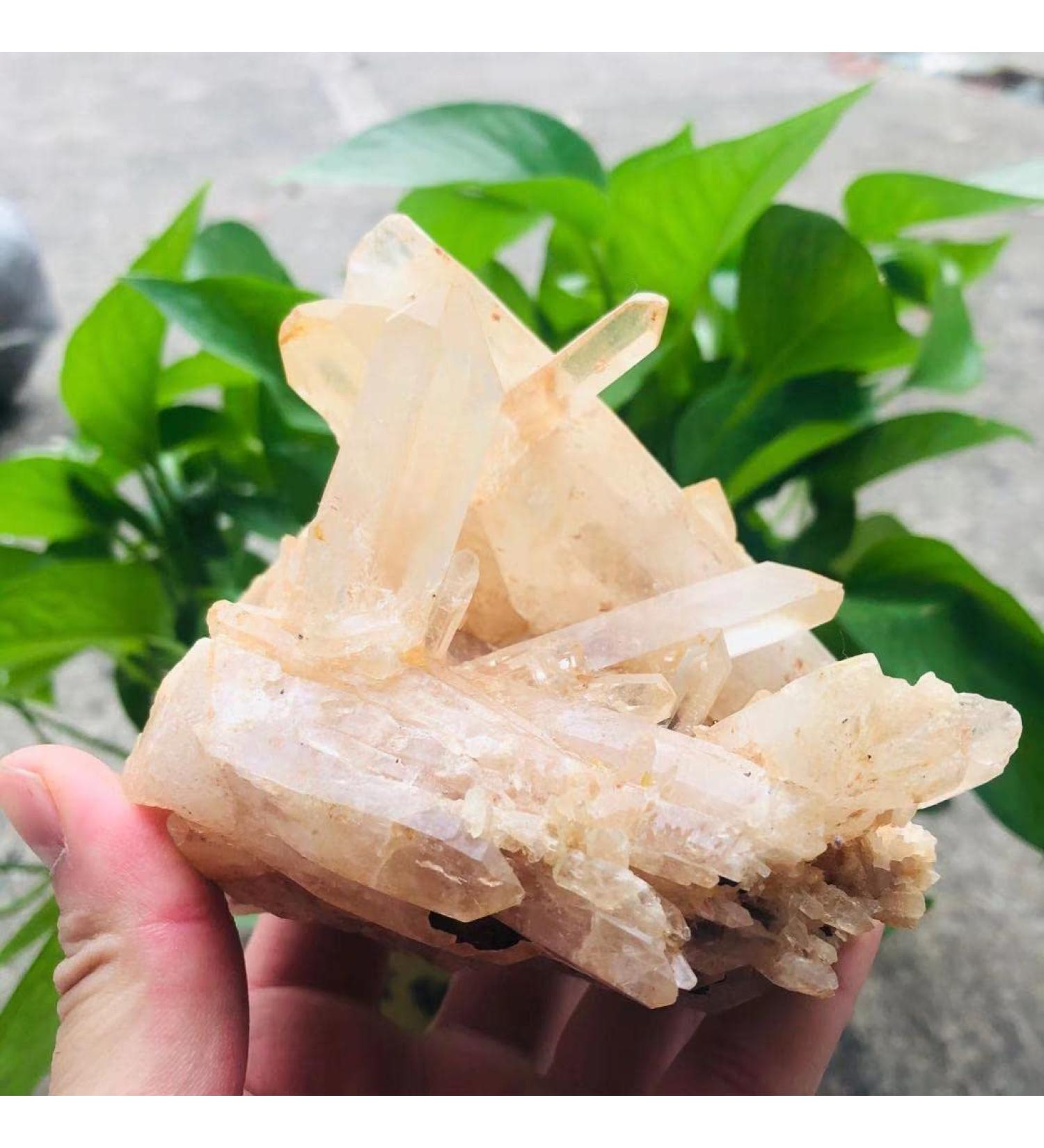 Crystal 200g-2000g Rough Natural Clear Geode Quartz Cluster Crystal Stone 1pc Suitable for Home Office Decoration Full of Texture (Color : 320g-450g 1pc) - Buy Online on GoSupps.com