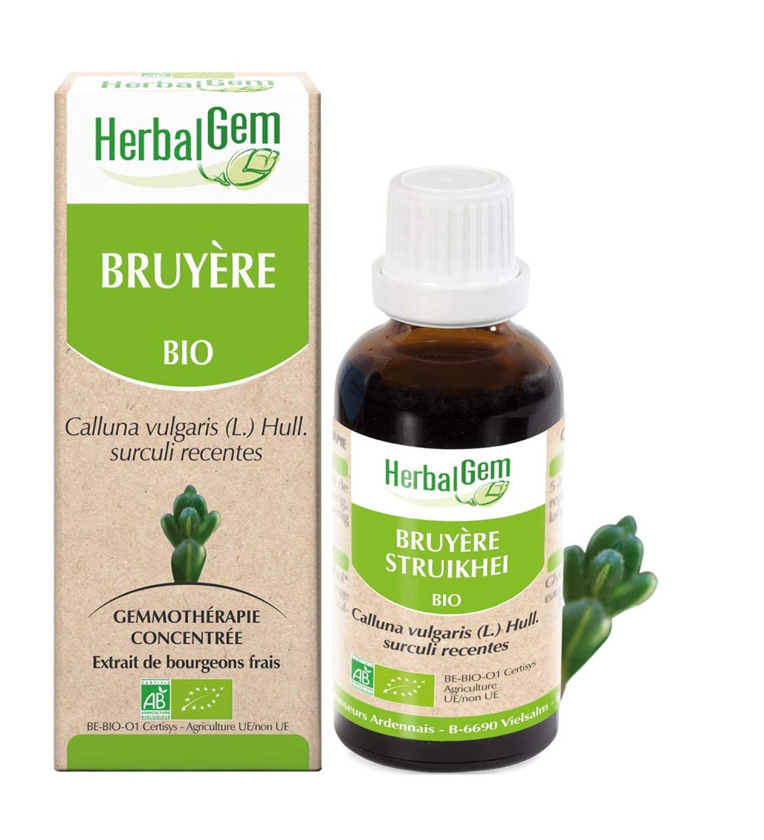 Herbalgemm - Macerate Mother - Organic Heather - Nutritional Supplement Gemmotherapy Concentrated - Fresh Bud Extract - For Urinary Tract - Vegan - 30 ml - Buy Online on GoSupps.com