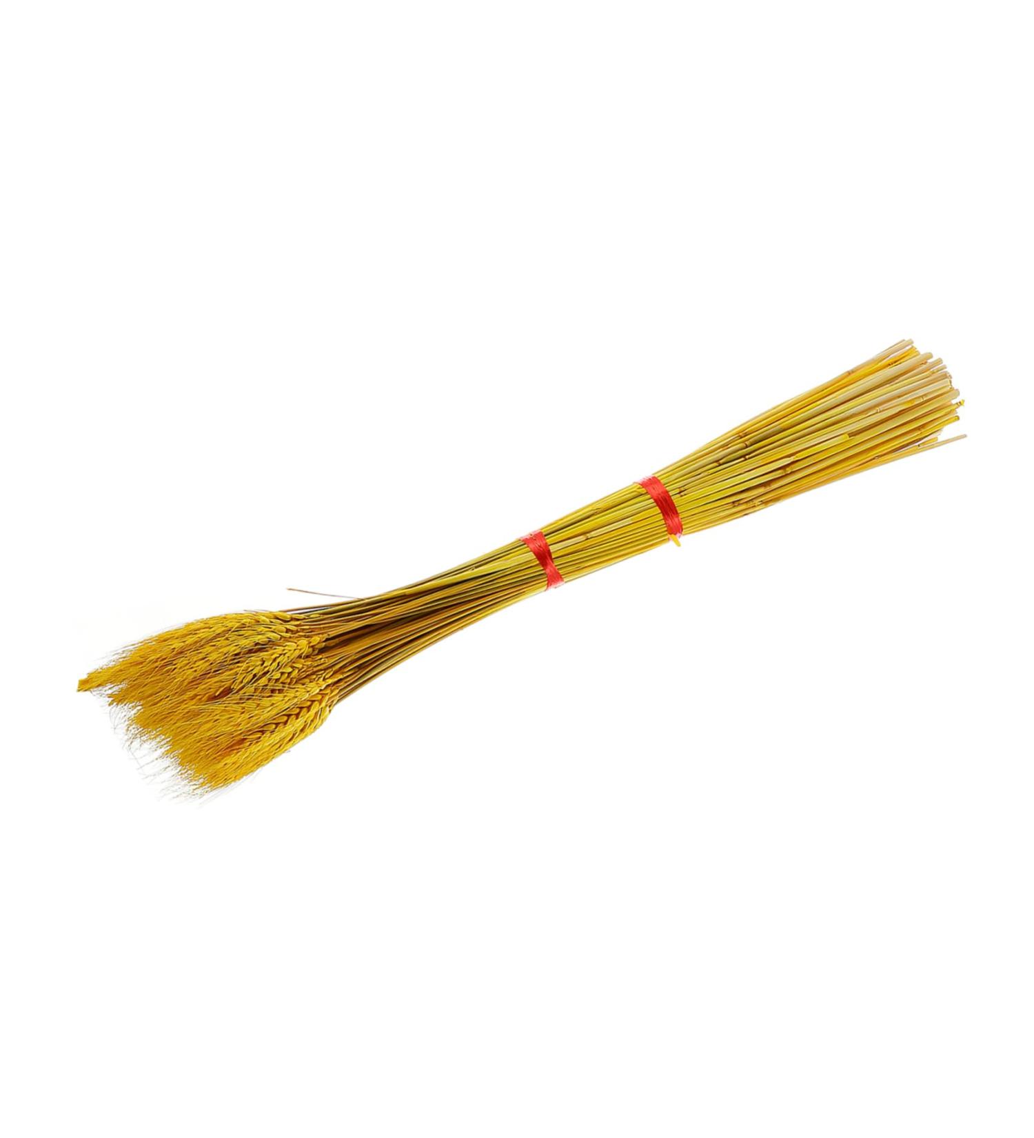 Zerodeko 100pcs Dried Wheat Ears Bouquet Decor Flowers Wheat Ear Dried Flowers Bouquet Wheat Stalks Floral Arrangement Wheat Ear Wedding Wheat Ear Desktop Gift Dried Flowers. - Buy Online on GoSupps.com