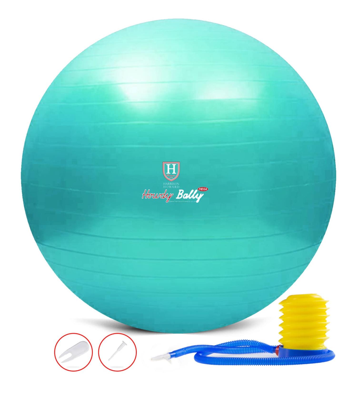 Harrison Howard Mega Horse Play Ball 25 Turquoise - Anti-Burst Giant Horse Soccer Ball - Buy Online on GoSupps.com