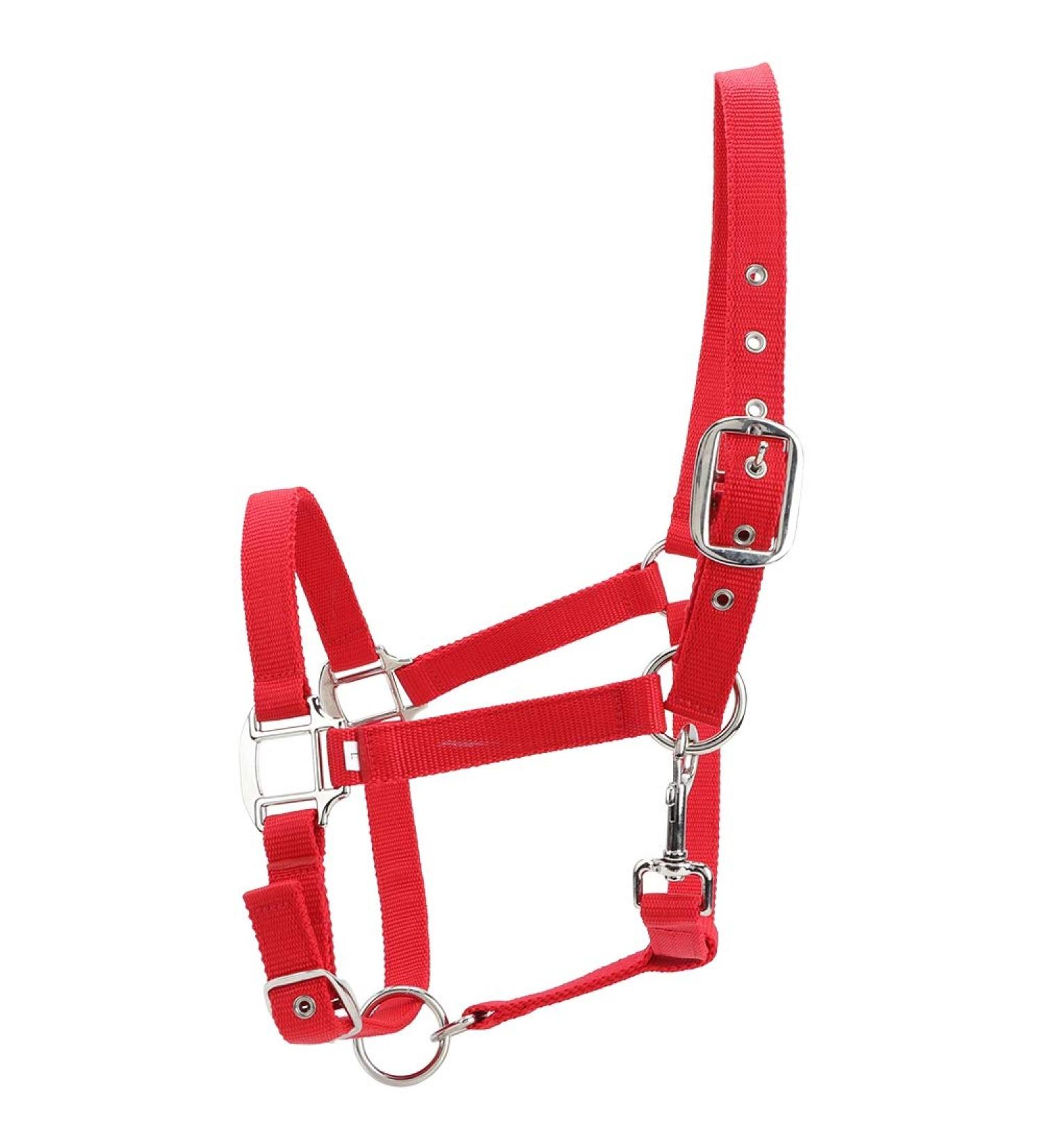 Horse Fly Control Horse Heads 6mm Training Leadership Driving Headpiece - Buy Online on GoSupps.com