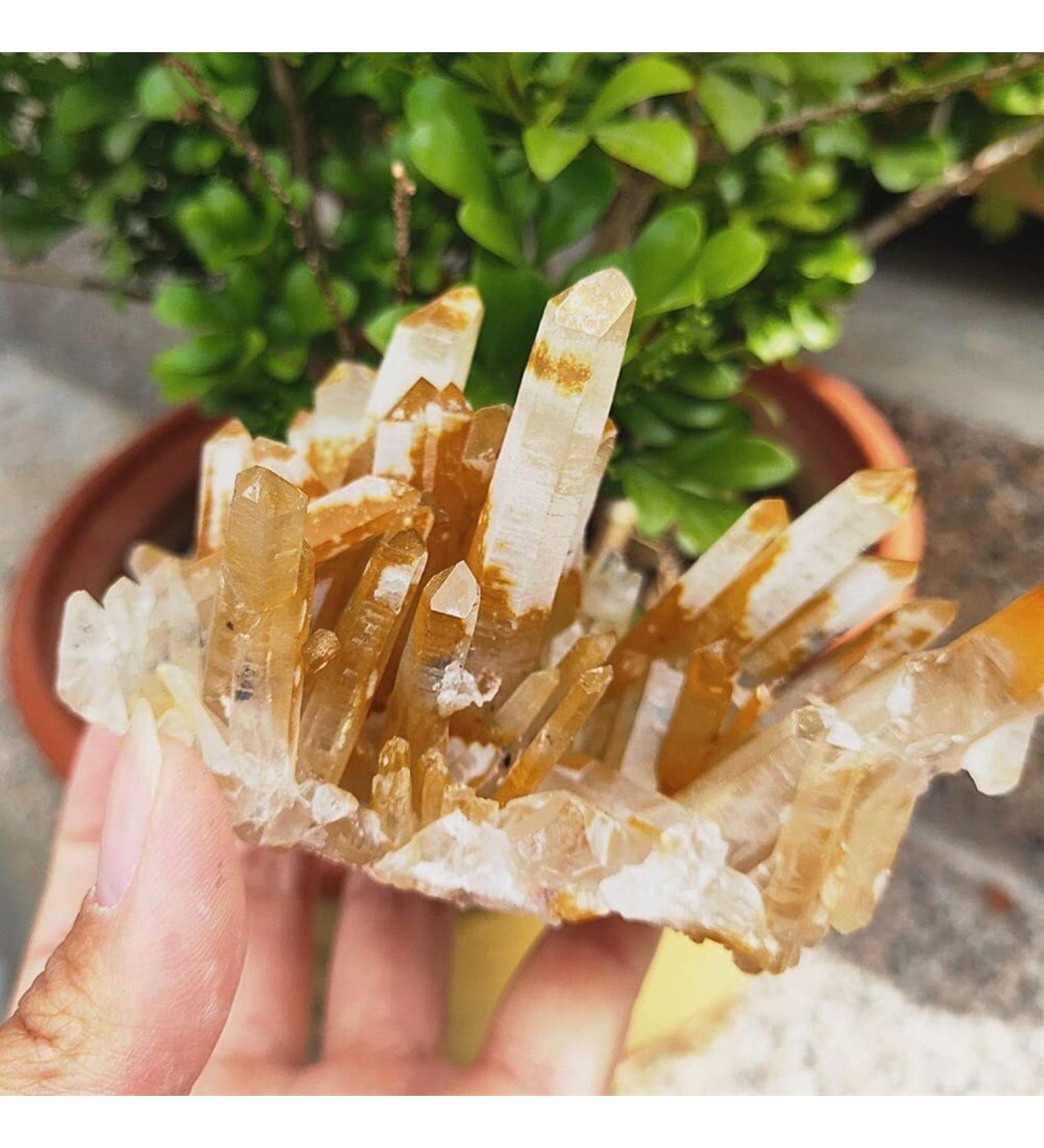 Room Decoration 300g Gemstone Crystal Cluster Natural raw Material Quartz Crystal Cluster Great Choice for Home Decoration - Buy Online on GoSupps.com
