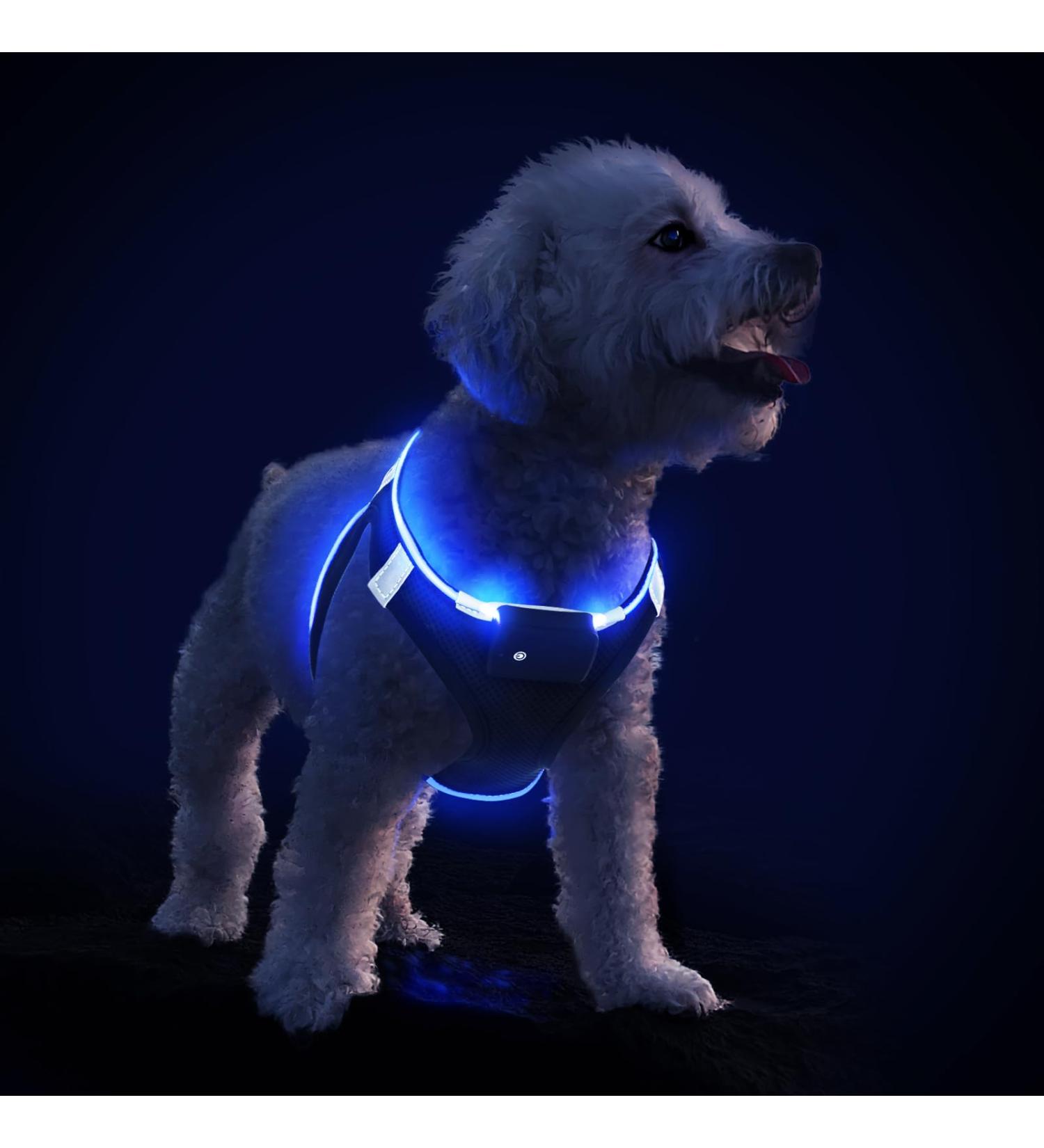 Luminous USB Charging Dog Harness - LED Light Harness for Small & Medium Dogs - Breathable & Lightweight PCEOTLLAR - Black/Blue S/M - Buy Online on GoSupps.com