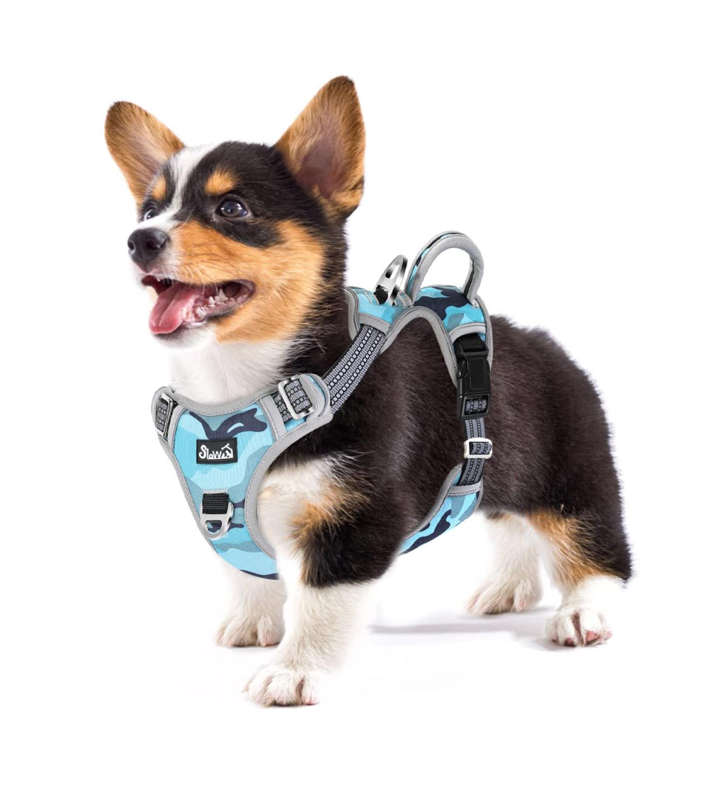 Shop Eyin Dog Harness for Small Dogs - Adjustable Breathable Reflective Padded with Handle - Perfect for Daily Training (Camouflage Size S) - Buy Online on GoSupps.com