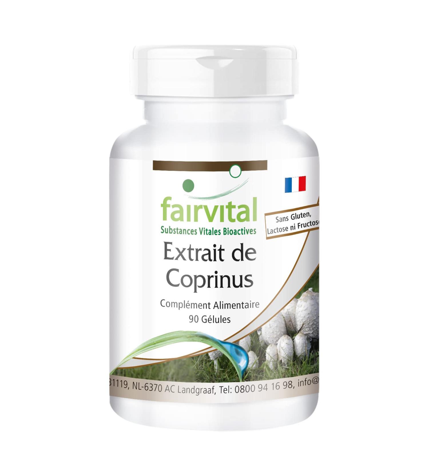 Fairvital | Coprinus 500mg VEGAN - Highly dosed - 90 capsules - mushroom extract standardized to polysaccharides 30% - Buy Online on GoSupps.com