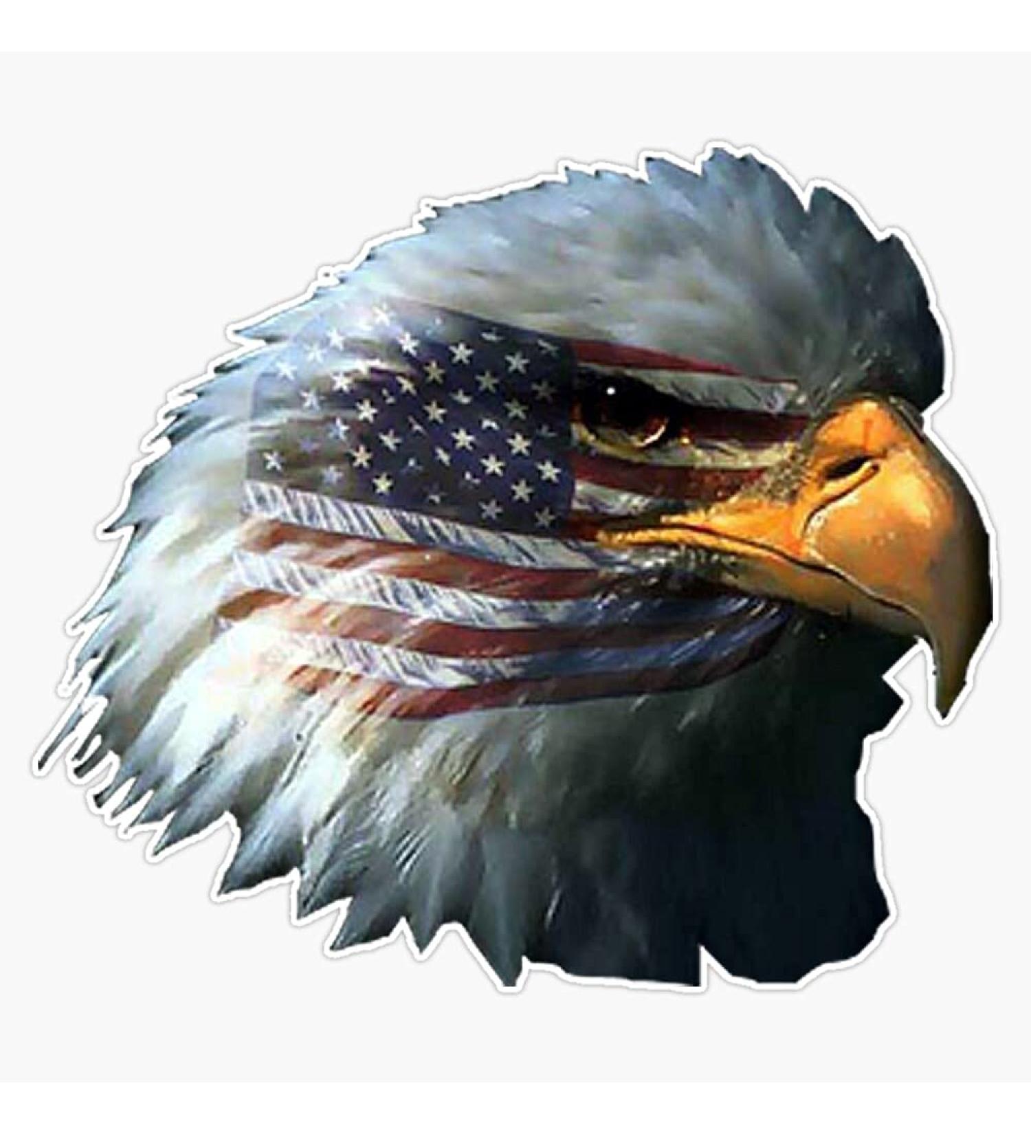BZ Trading American Flag Bald Eagle Patriotic Vinyl Decal Wall Laptop Bumper Sticker 5inch