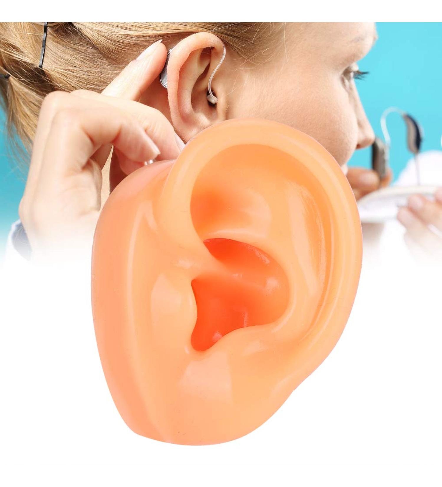 Silicone Imitation Real Human Ear Display Model - Sculpture Supplies - Buy Online on GoSupps.com