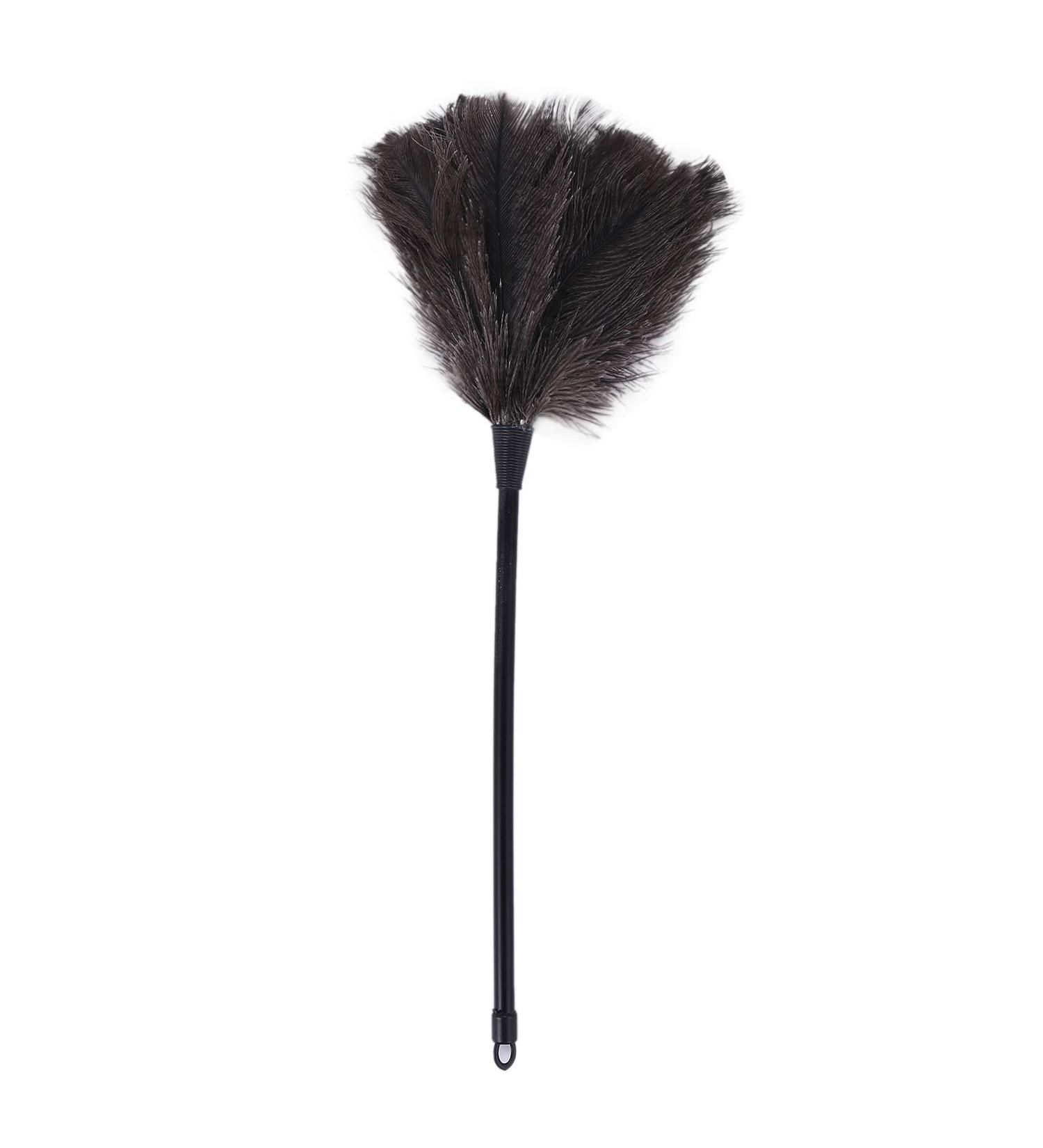 Kecung Ostrich Duster Dusters with Long Plastic Handle Cleaning Brush Tool Cleaning Duster Household Cleaning Tool - Buy Online on GoSupps.com