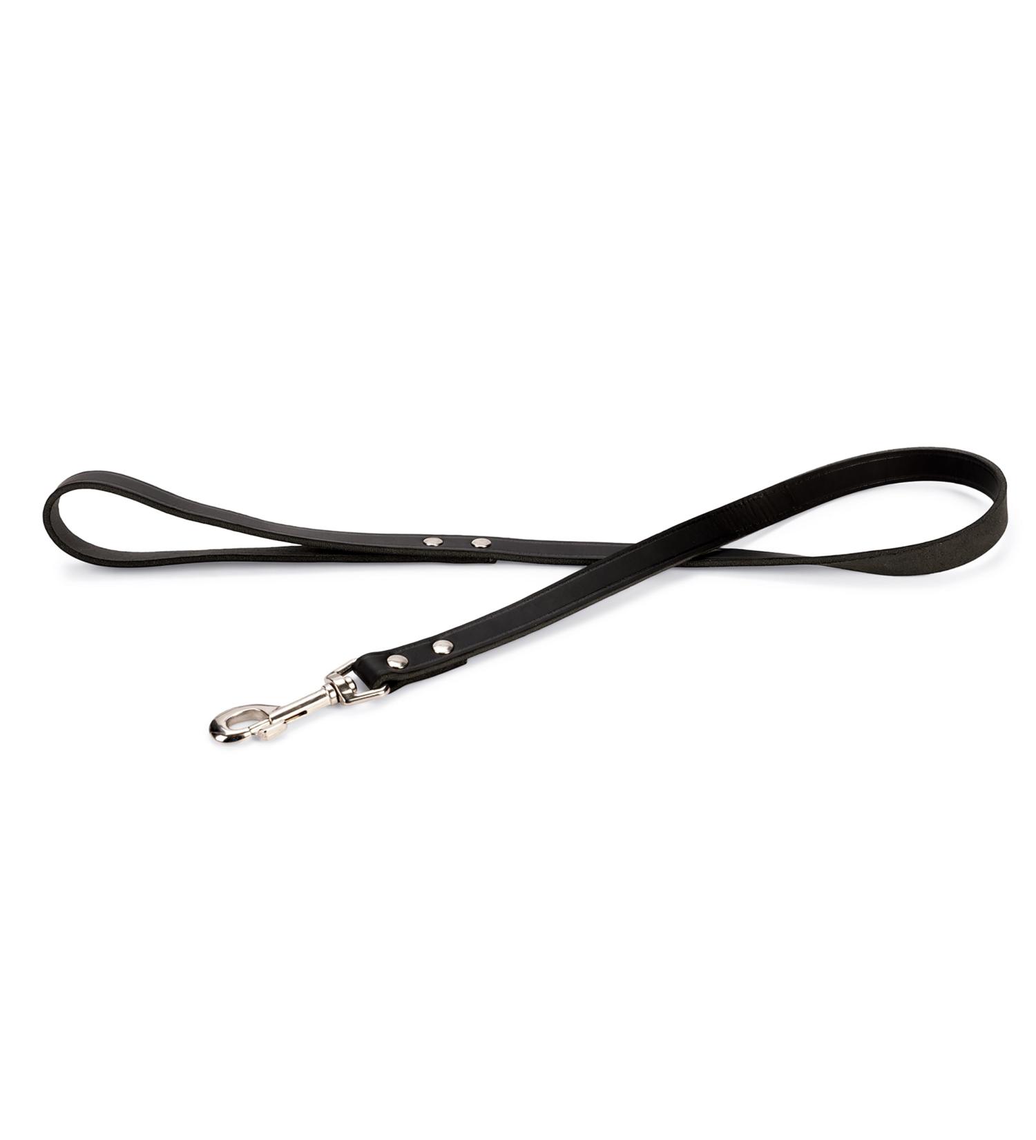 Buy Karlie Rondo Riveted Dog Leash - 100 cm | Durable Black 20 mm Width | International Shipping Available - Buy Online on GoSupps.com