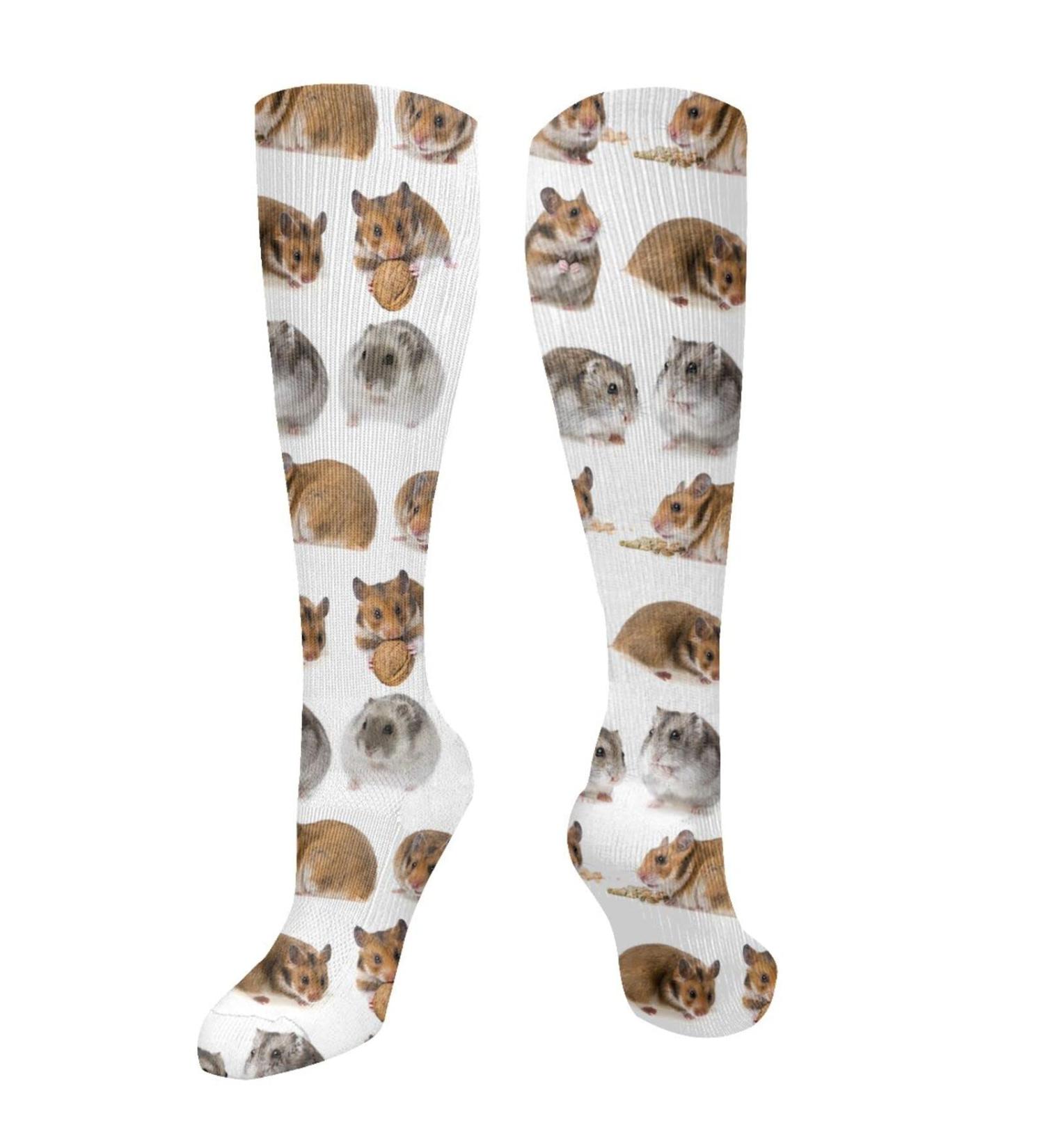 Shop Hamster Compression Socks for Men & Women | 15-20 mmHg Support for Running & Cycling - Buy Online on GoSupps.com