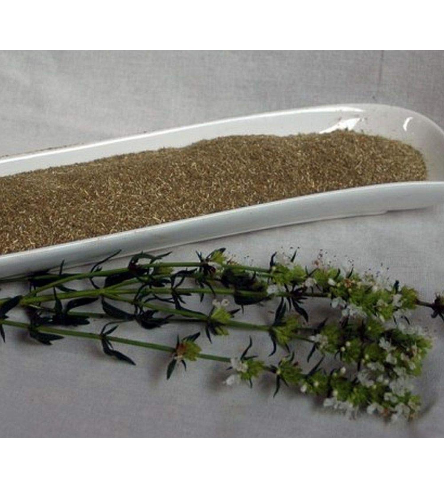 Krauterino24 - Ground hyssop quantity: 100 g