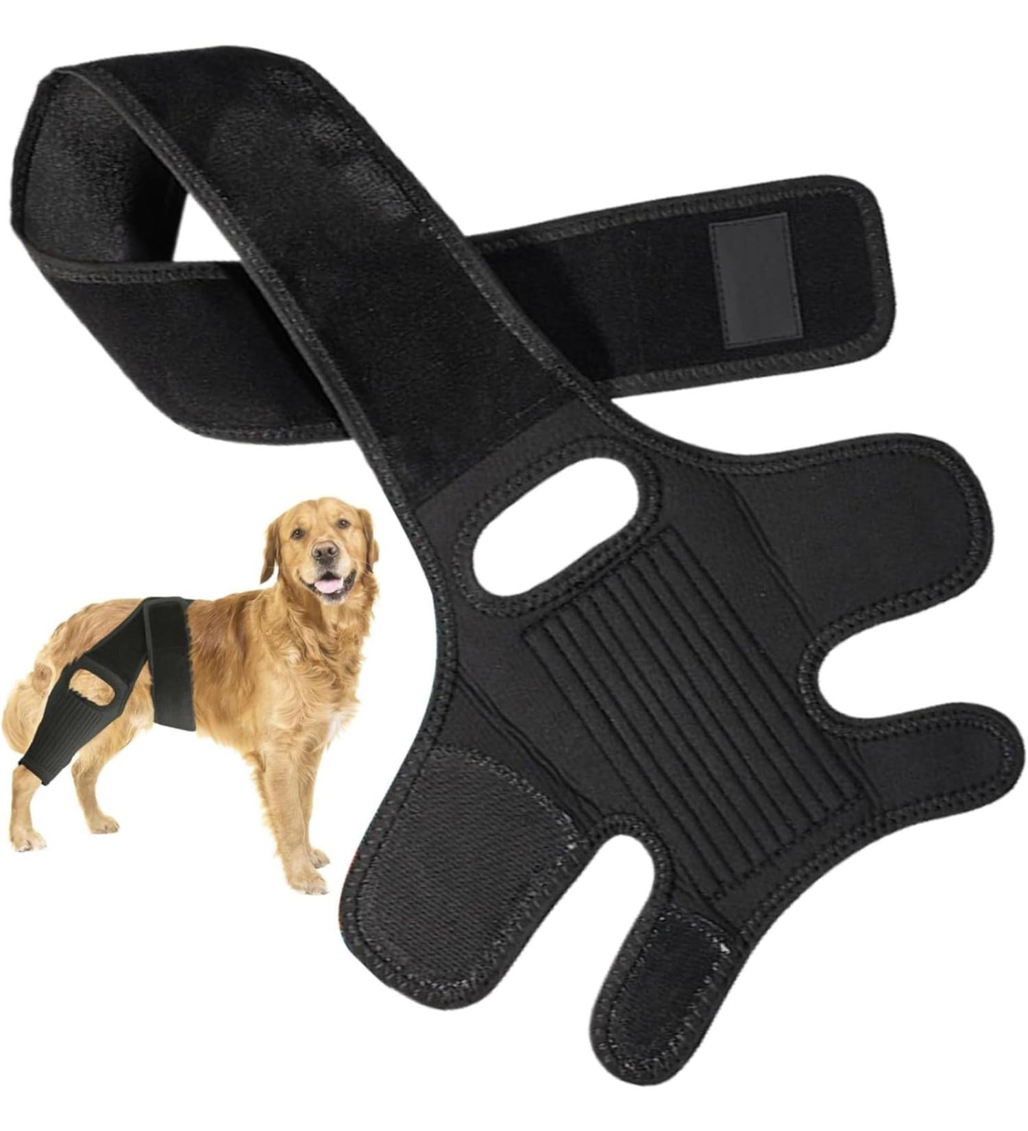 QYJLOFMVE Dog Knee Brace Support for Large and Small Dogs Suffering from ACL CCL Cruciate Ligament Injuries Luxating Patella or Osteoarthritis for Rear Legs and - Buy Online on GoSupps.com