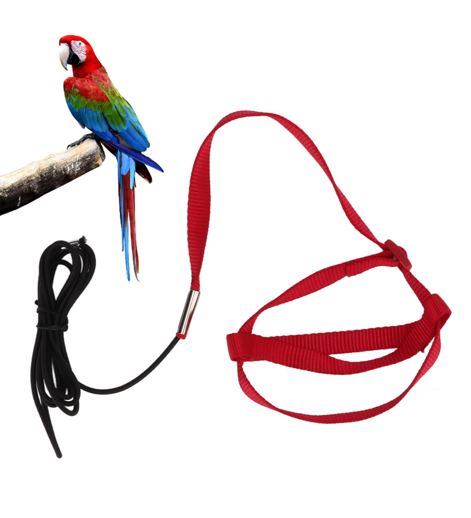 Cyrank Adjustable Bird Dishes & Leash for Nymphensittiche Alexandriner - Perfect for Outdoor Training & Activities - Buy Online on GoSupps.com